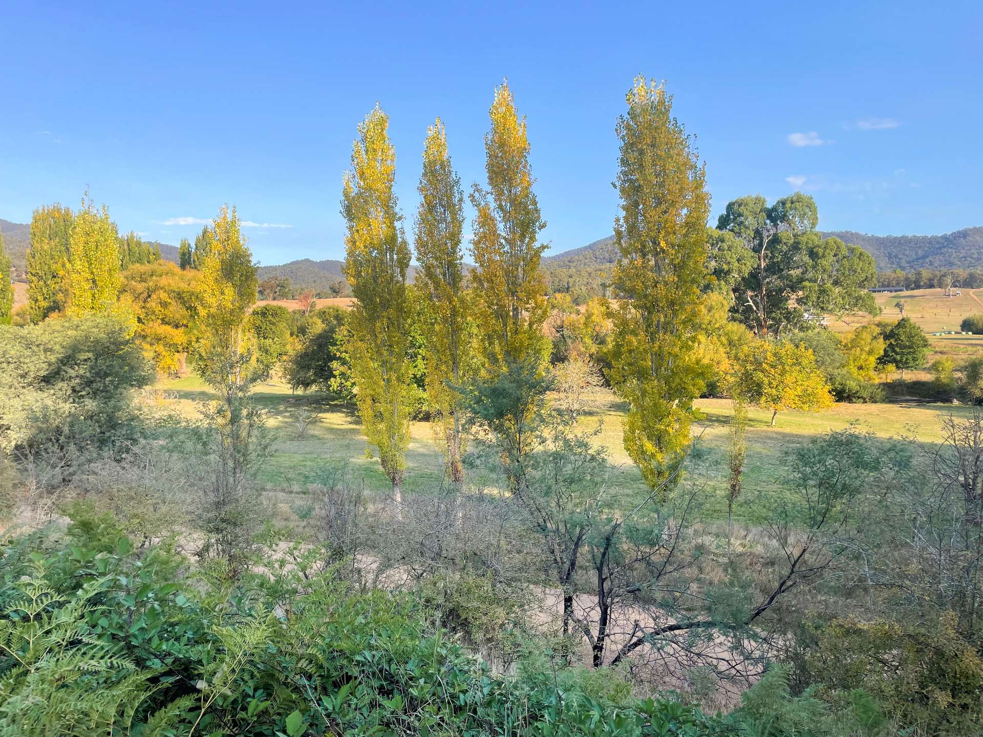 139 The Sideling, Jamieson Sold by Farmbuy.com - image 14