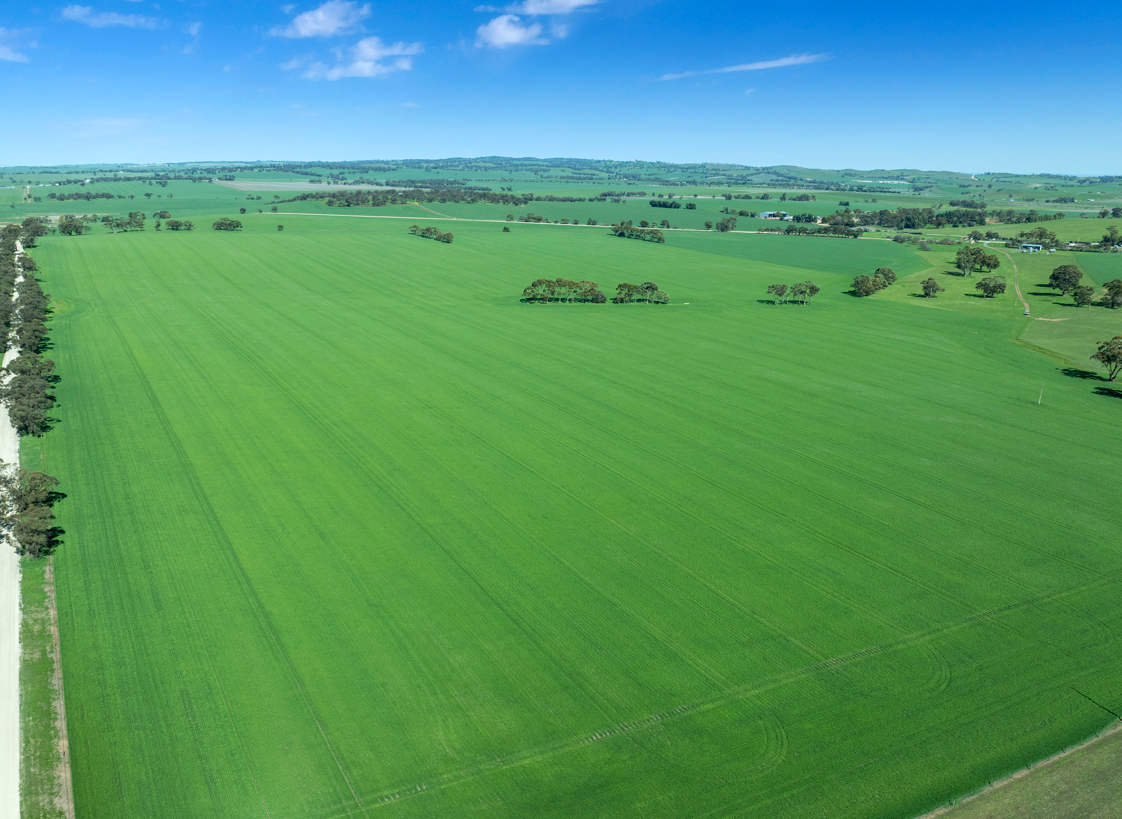 'Mitchell's' Slape Road, Riverton Sold by Farmbuy.com - image 2