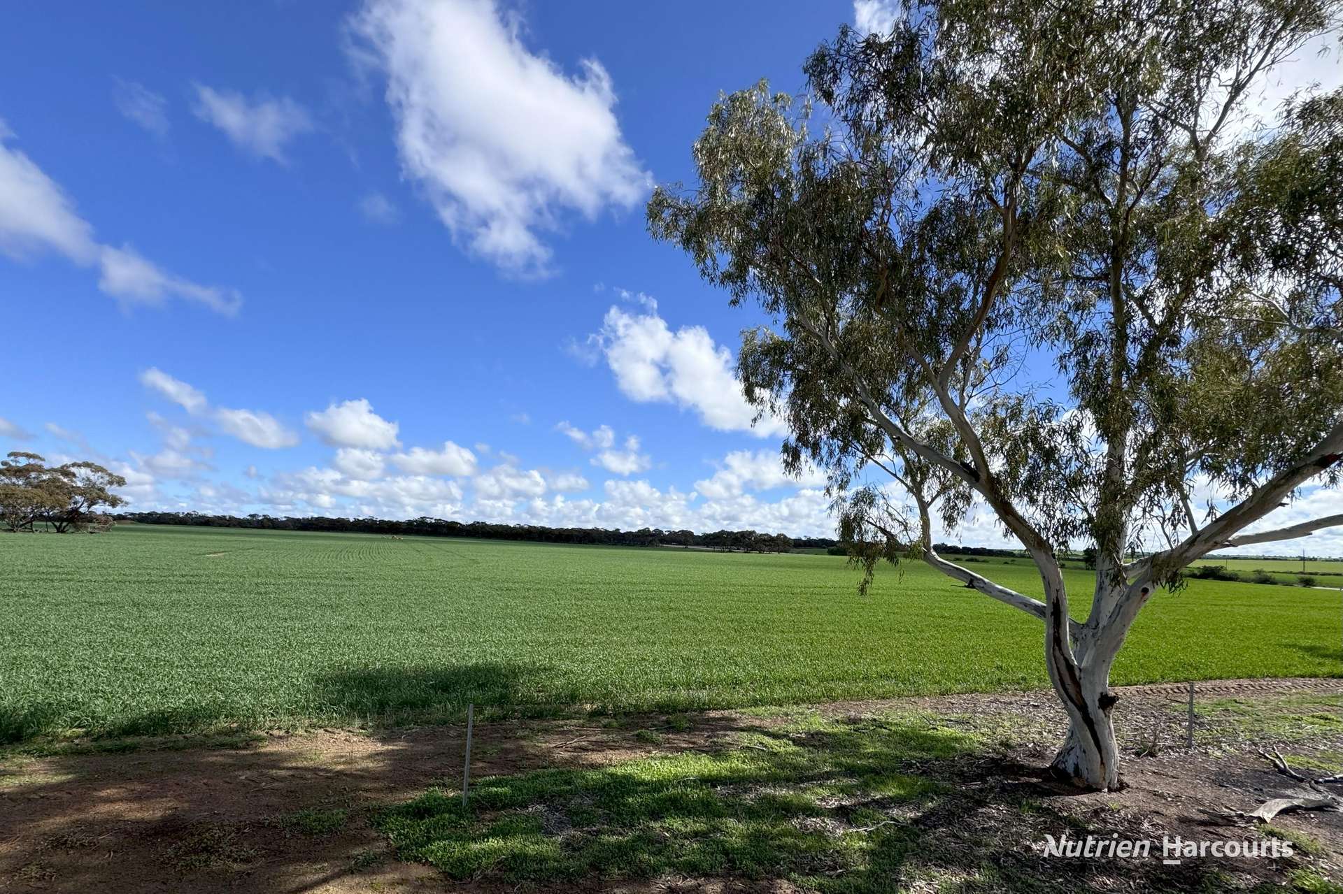 1905 Dalwallinu West Road, Miling Sold by Farmbuy.com - image 12