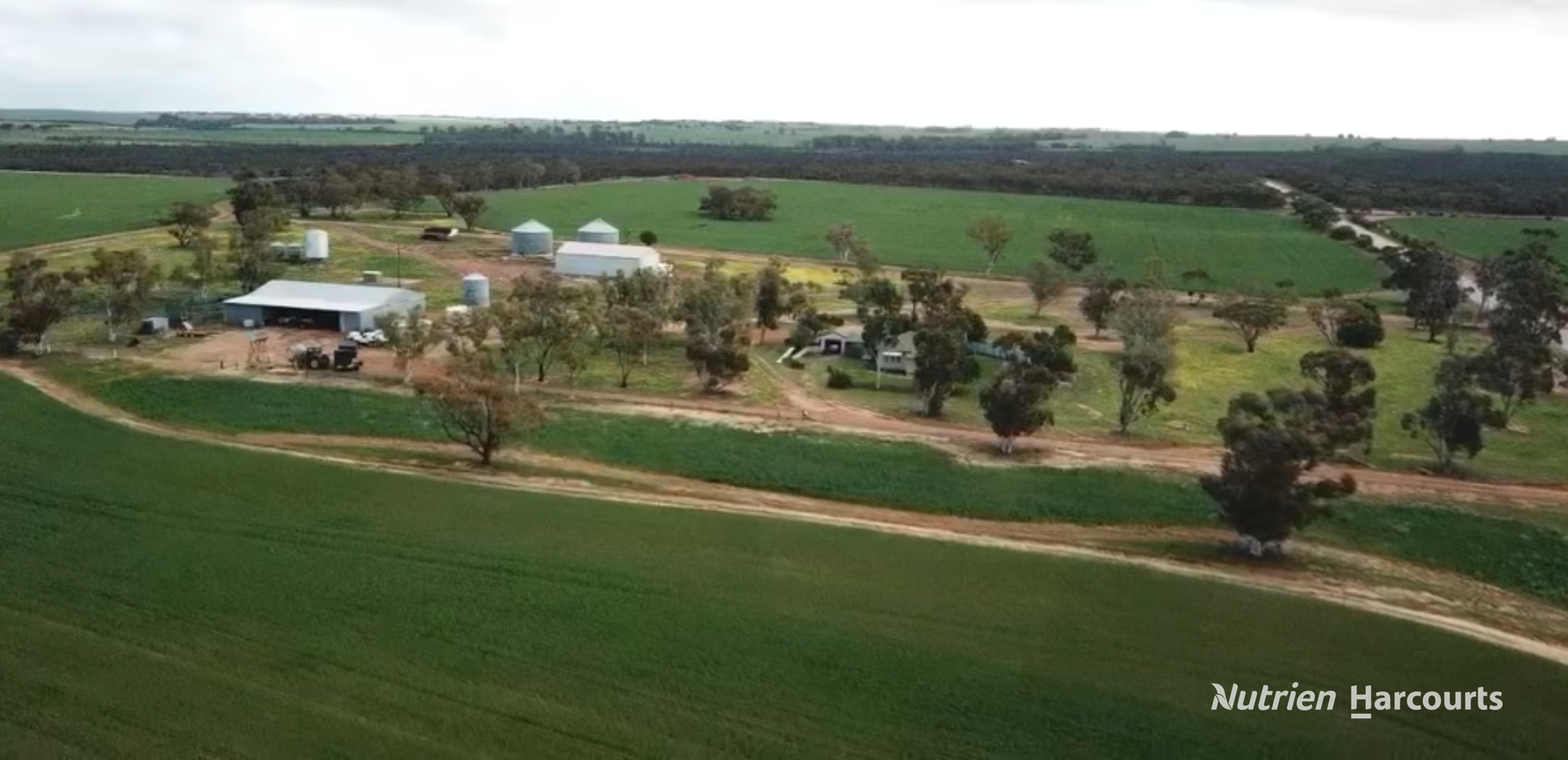 1905 Dalwallinu West Road, Miling Sold by Farmbuy.com - image 2