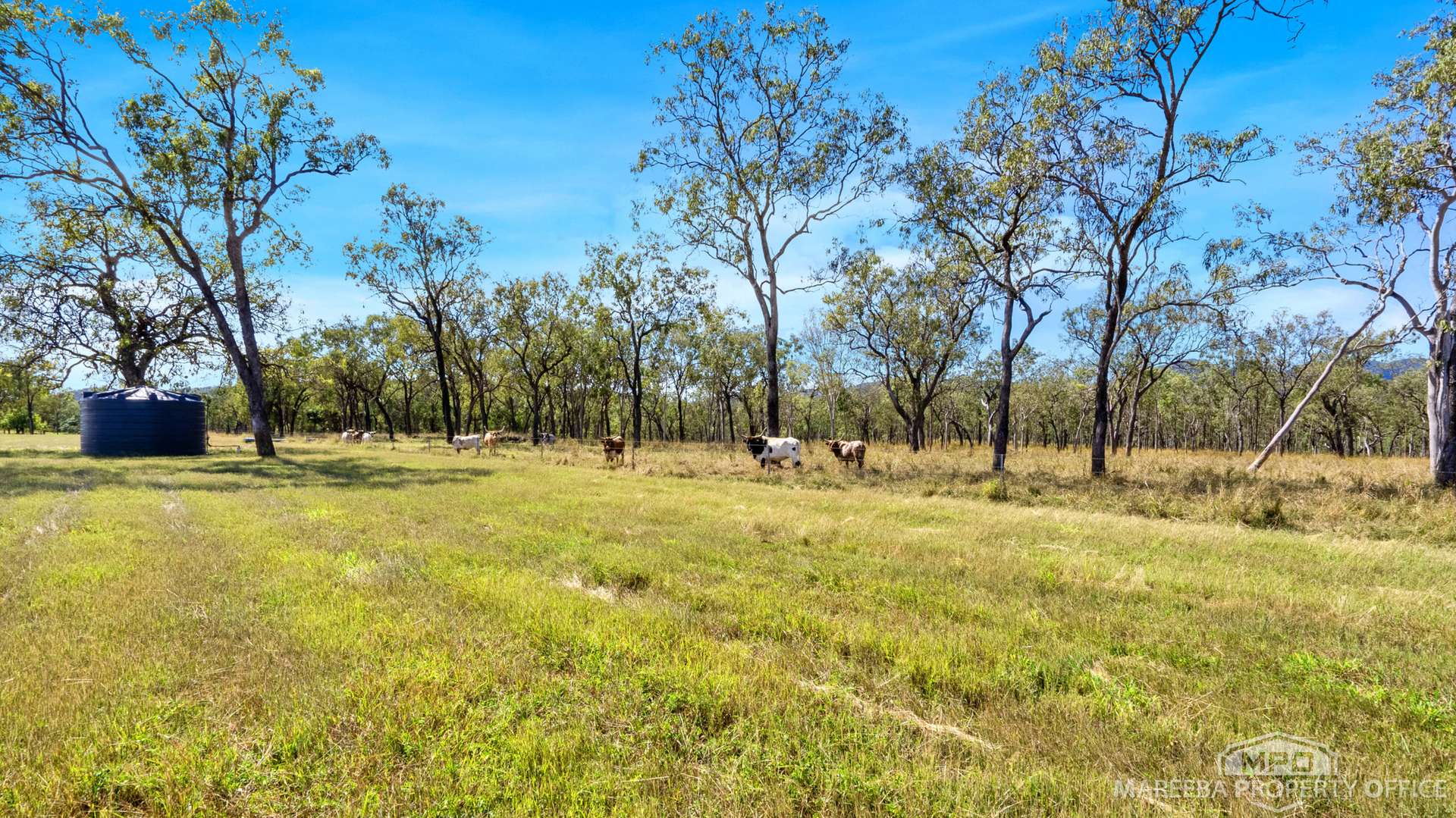 76 Davies Creek Road, Mareeba For Sale by Farmbuy.com - image 9