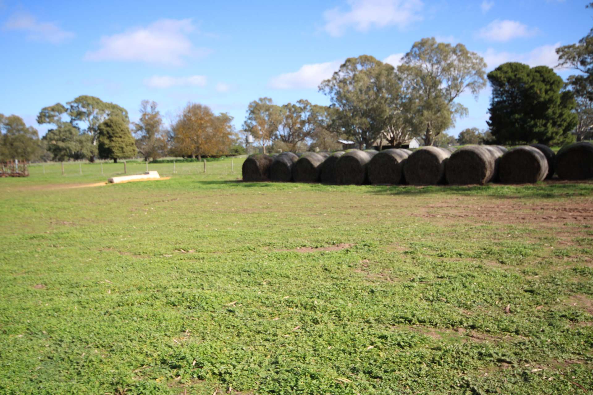202 Malones Road, Naracoorte For Sale by Farmbuy.com - image 18