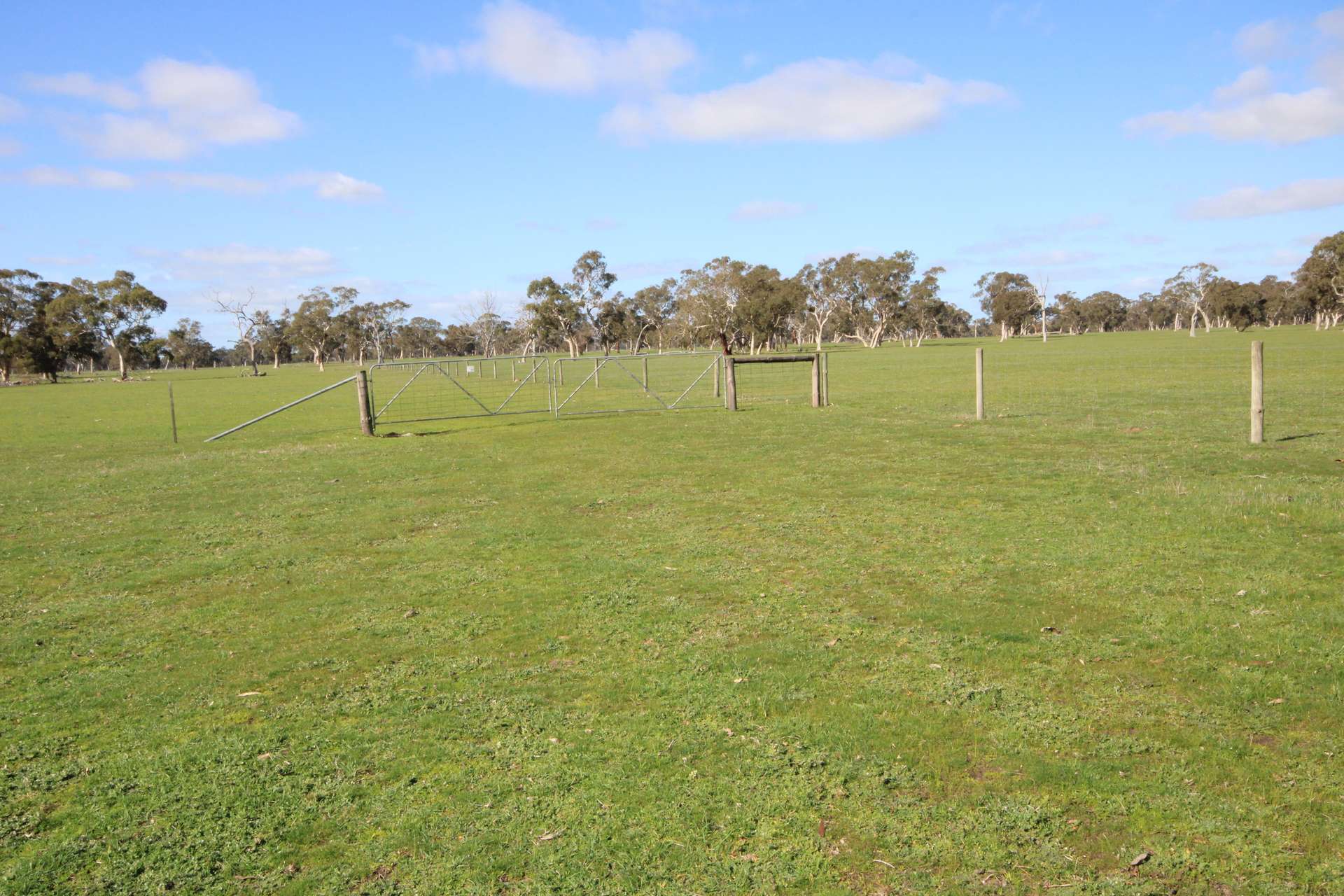 202 Malones Road, Naracoorte For Sale by Farmbuy.com - image 26