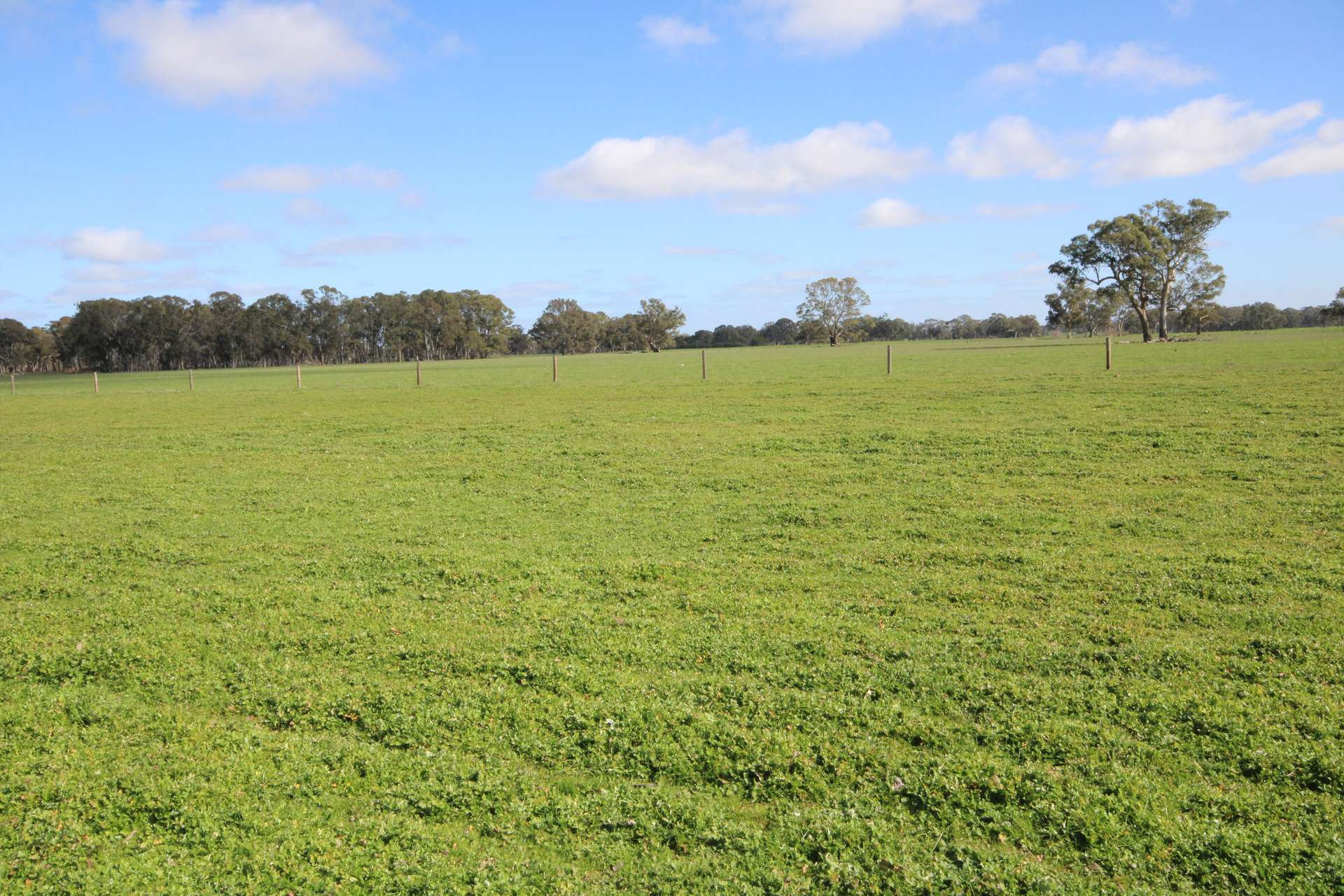 202 Malones Road, Naracoorte For Sale by Farmbuy.com - image 20