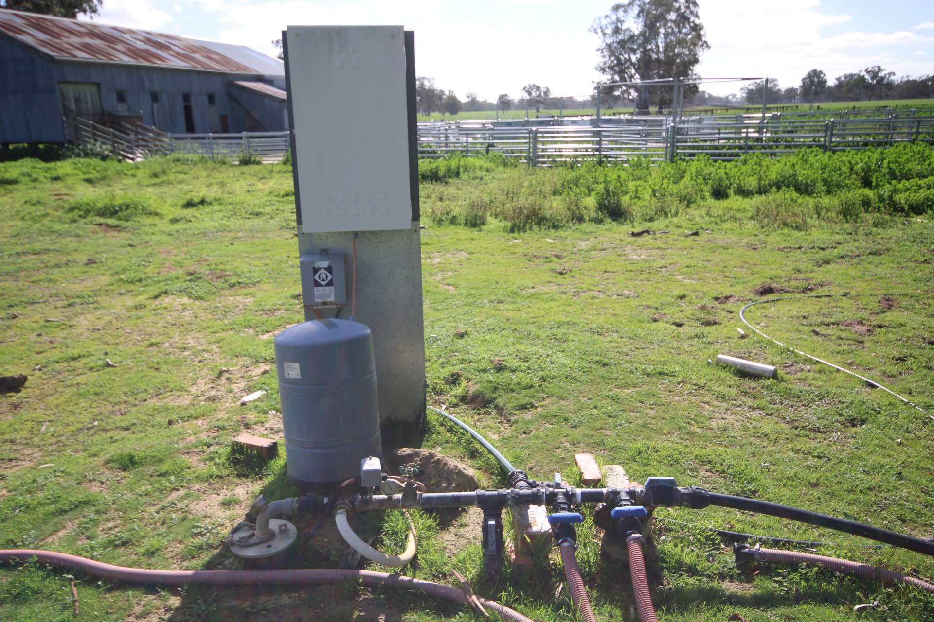 202 Malones Road, Naracoorte For Sale by Farmbuy.com - image 15