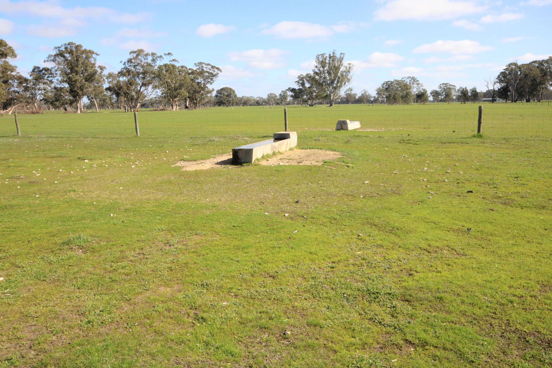 202 Malones Road, Naracoorte For Sale by Farmbuy.com - image 17