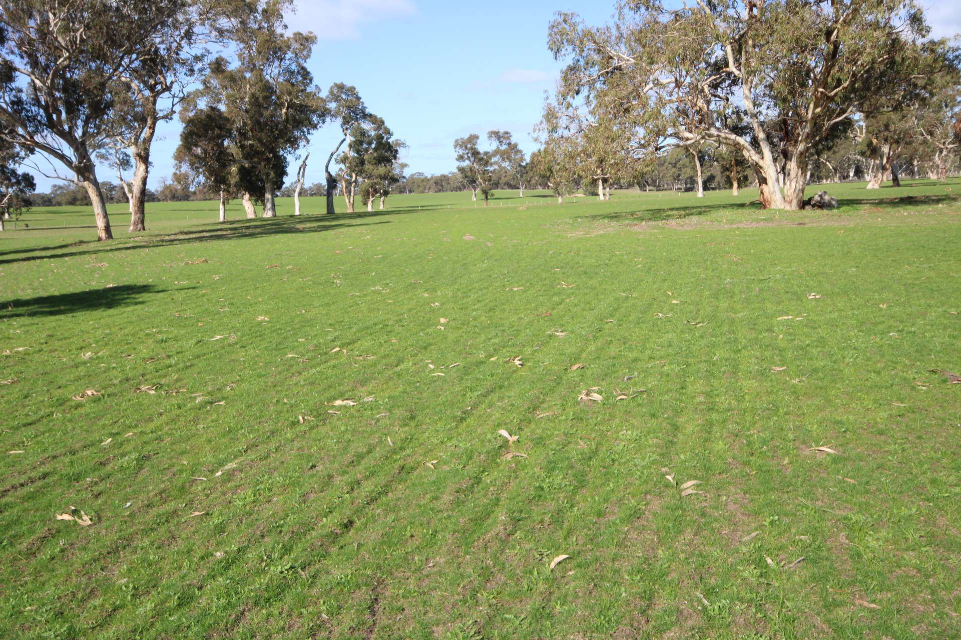 202 Malones Road, Naracoorte For Sale by Farmbuy.com - image 27