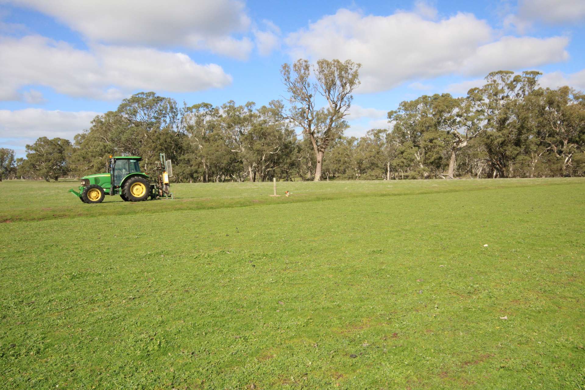 202 Malones Road, Naracoorte For Sale by Farmbuy.com - image 29