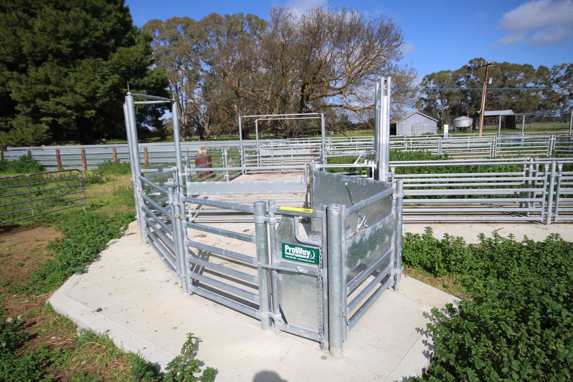 202 Malones Road, Naracoorte For Sale by Farmbuy.com - image 13