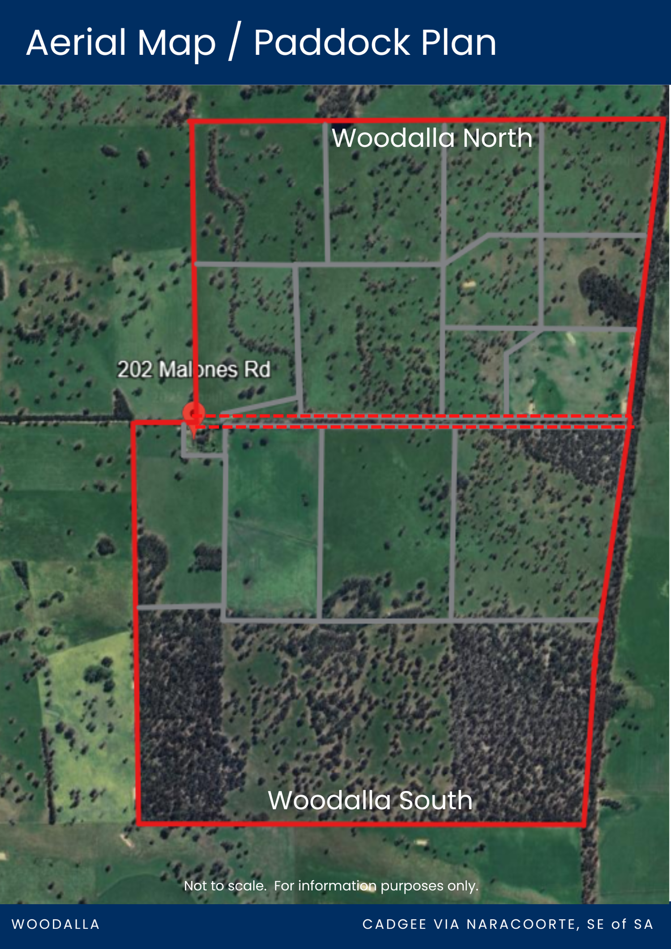 202 Malones Road, Naracoorte For Sale by Farmbuy.com - image 30