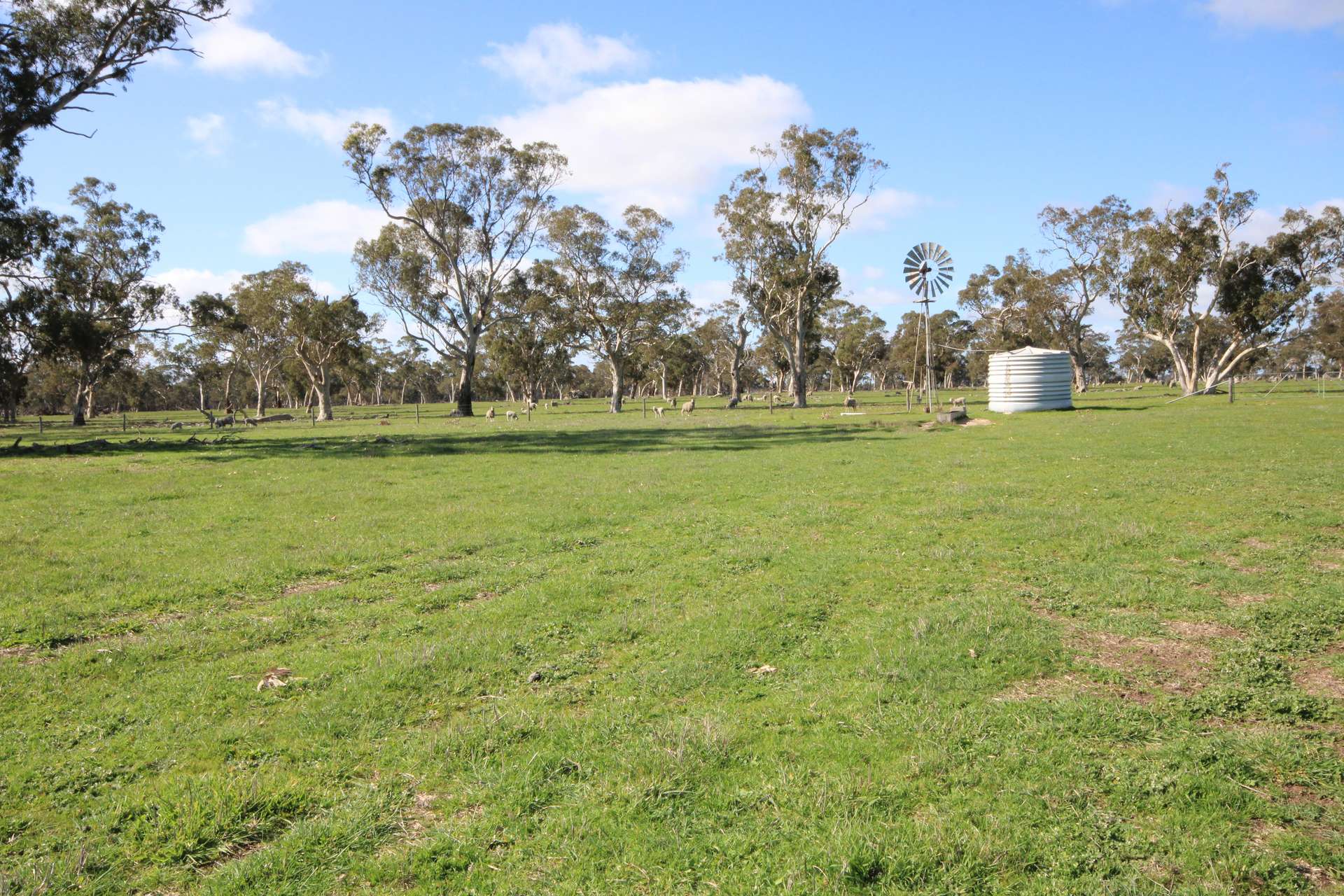 202 Malones Road, Naracoorte For Sale by Farmbuy.com - image 21