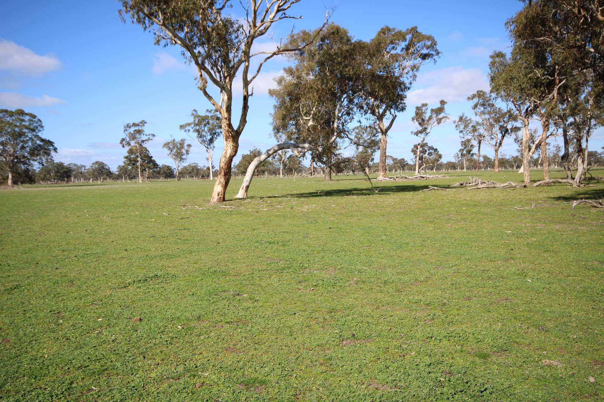 202 Malones Road, Naracoorte For Sale by Farmbuy.com - image 25