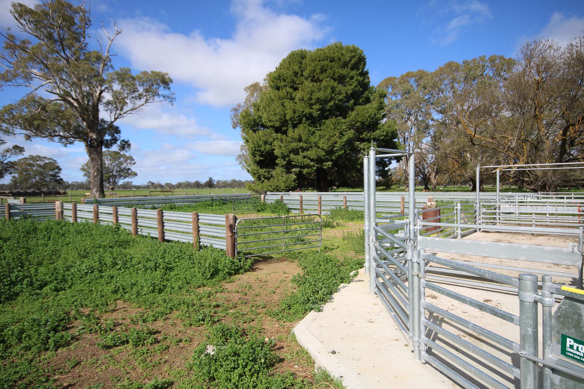 202 Malones Road, Naracoorte For Sale by Farmbuy.com - image 9