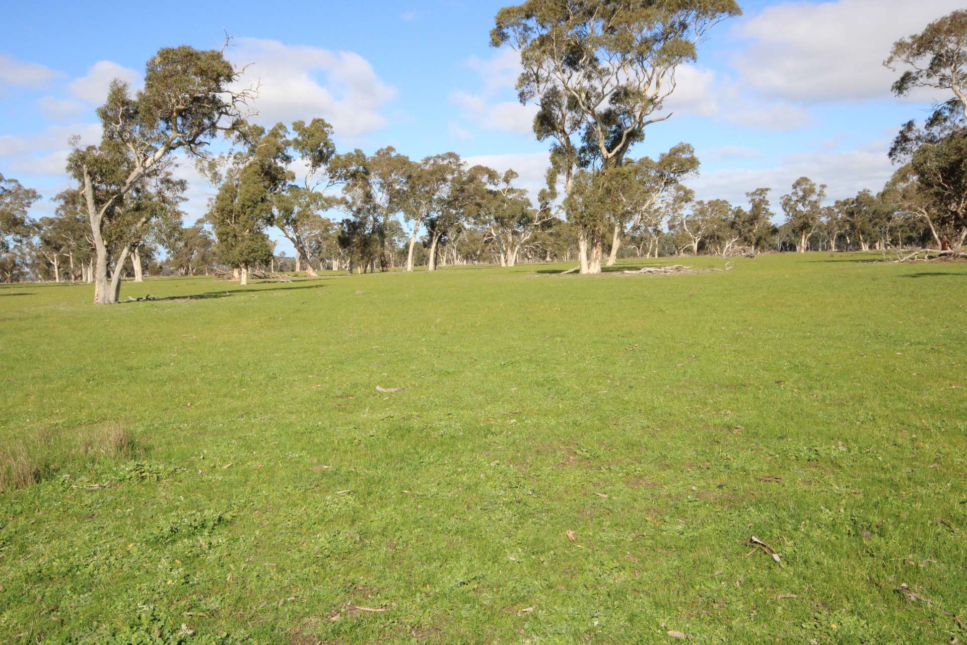 202 Malones Road, Naracoorte For Sale by Farmbuy.com - image 28