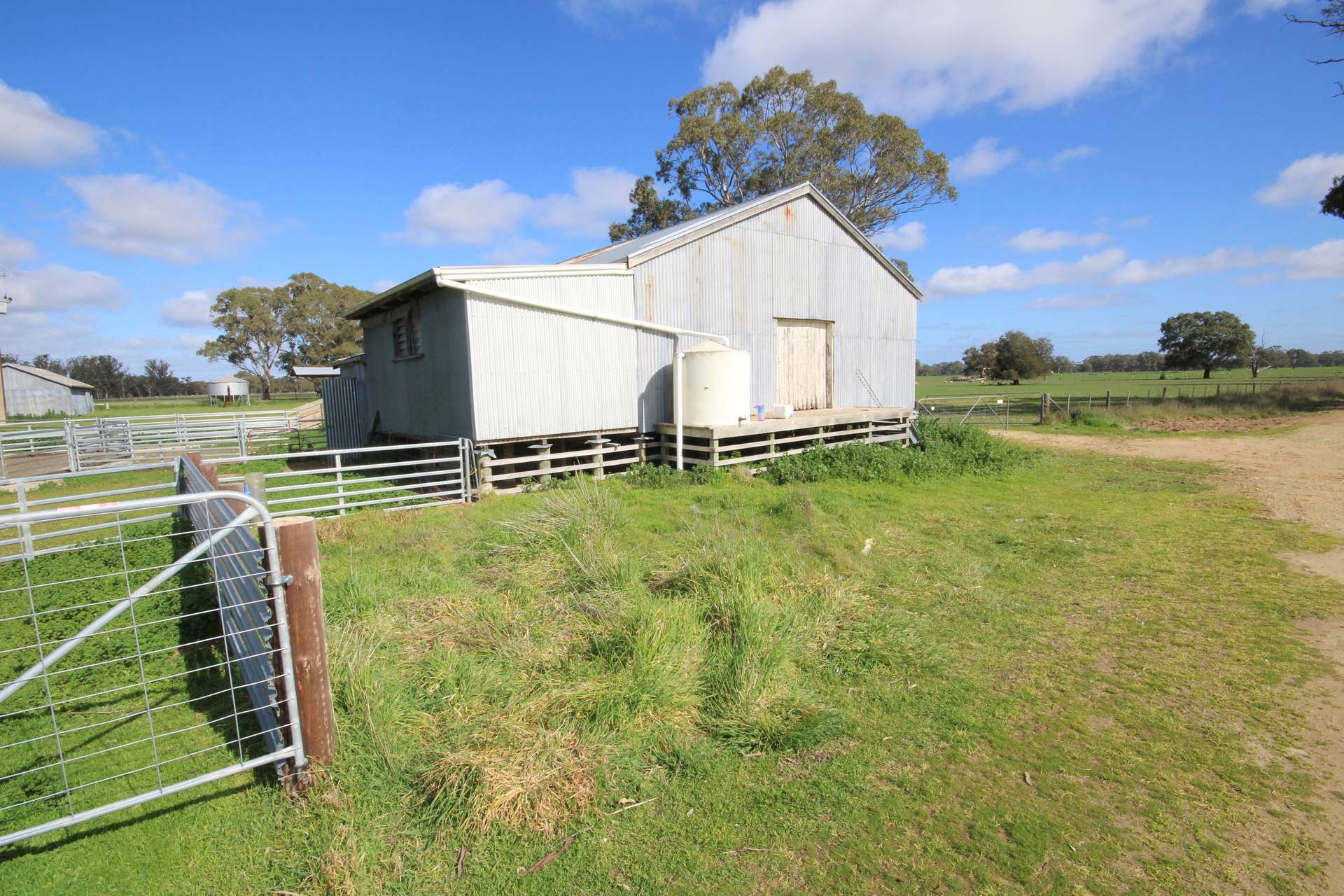 202 Malones Road, Naracoorte For Sale by Farmbuy.com - image 8