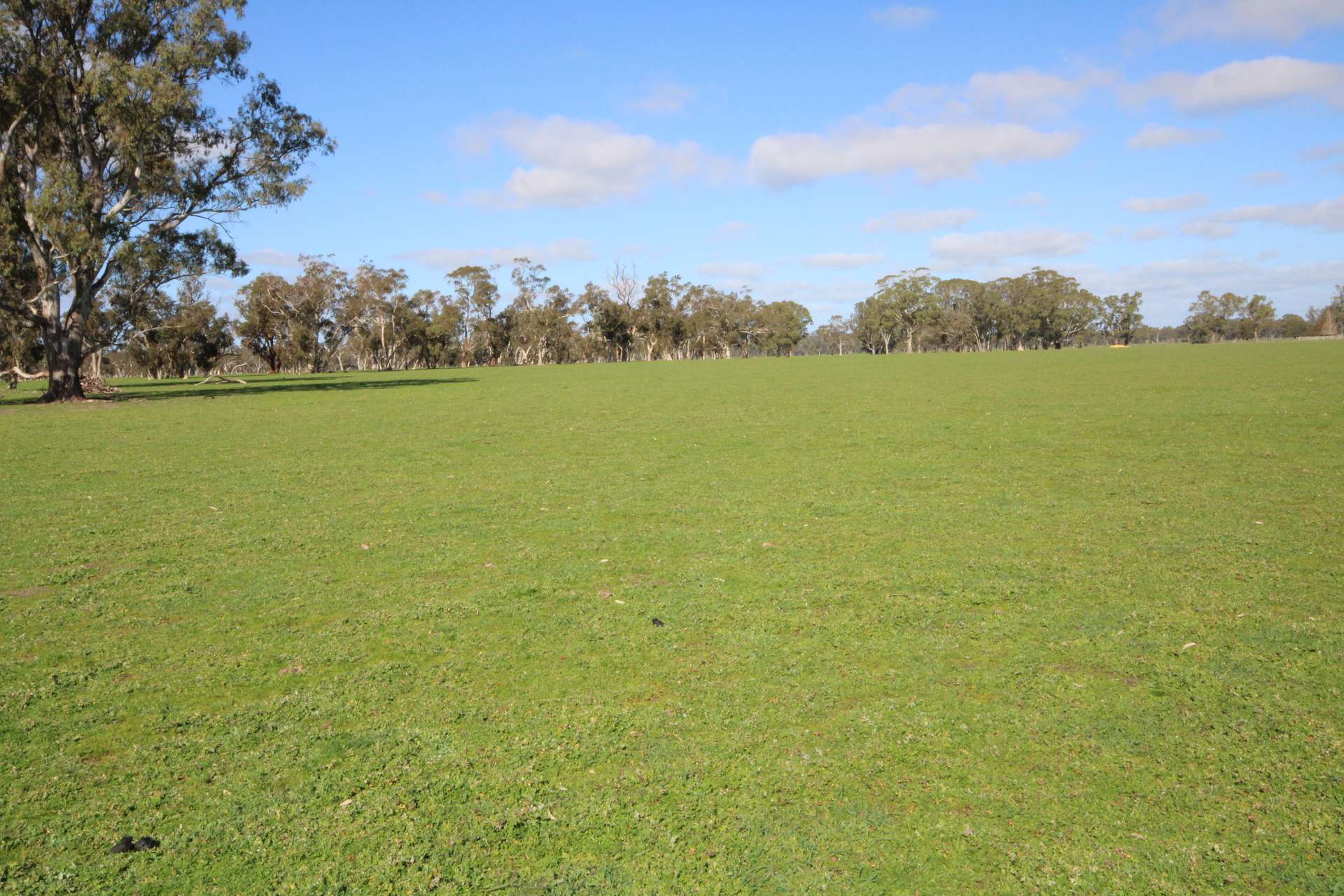 202 Malones Road, Naracoorte For Sale by Farmbuy.com - image 24
