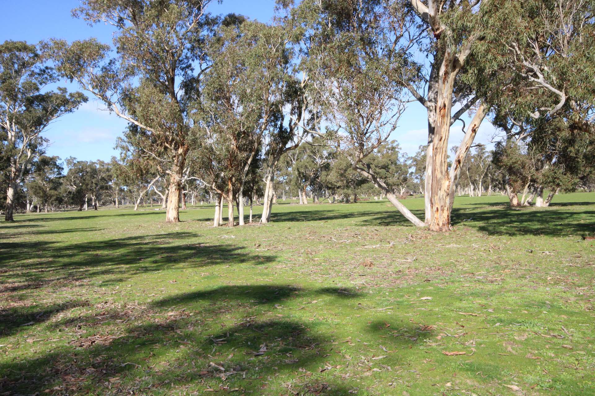 202 Malones Road, Naracoorte For Sale by Farmbuy.com - image 19