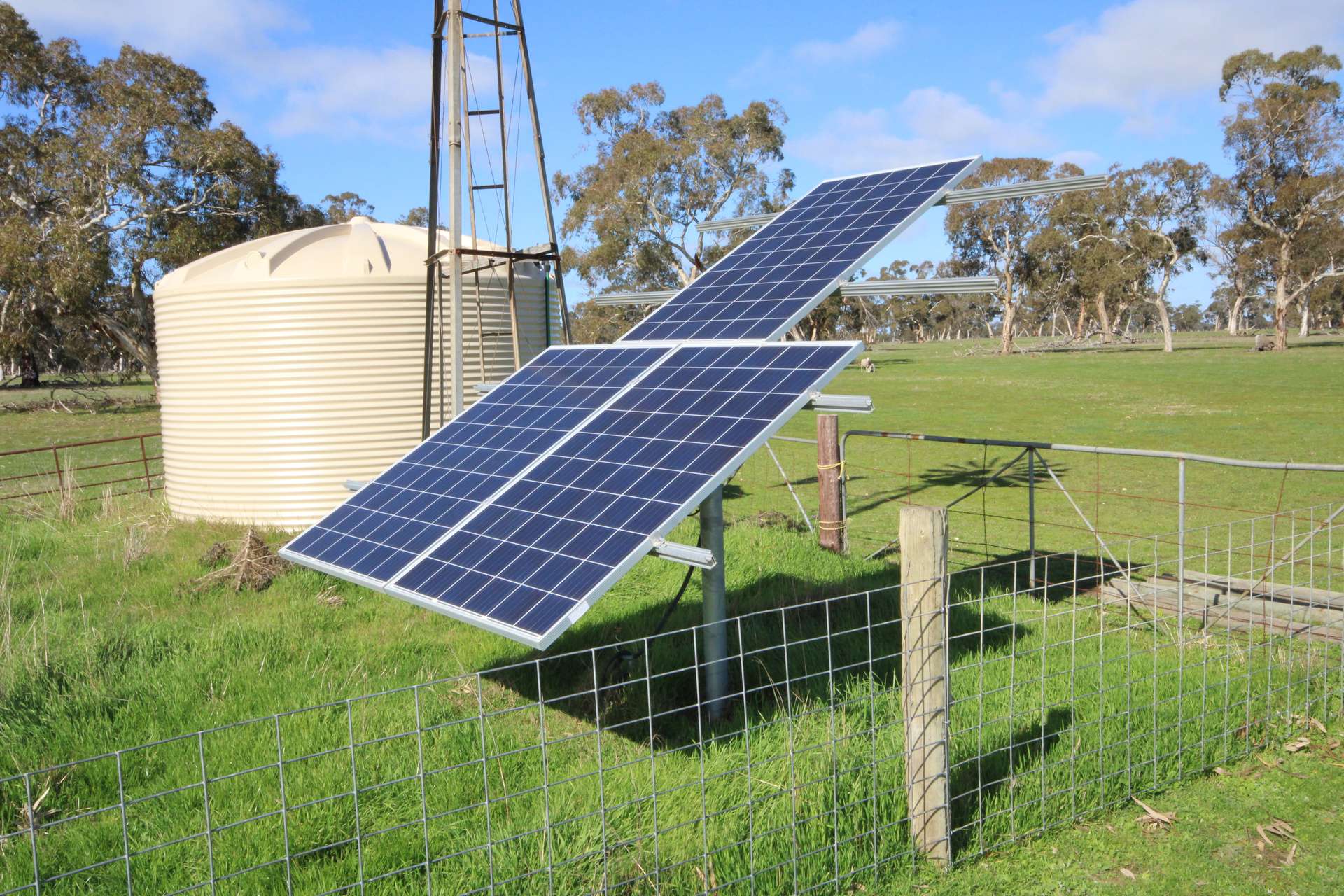 202 Malones Road, Naracoorte For Sale by Farmbuy.com - image 4