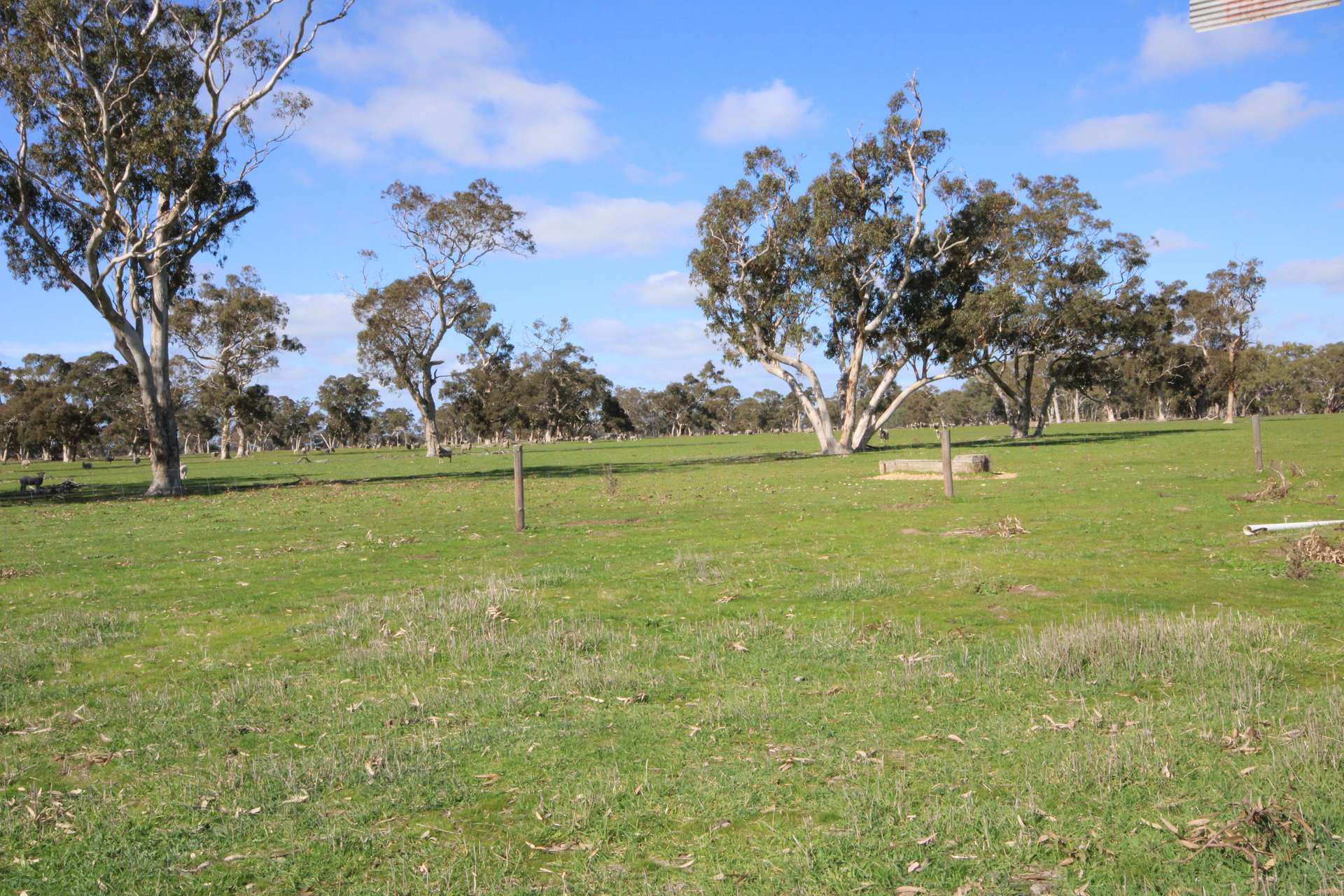 202 Malones Road, Naracoorte For Sale by Farmbuy.com - image 22