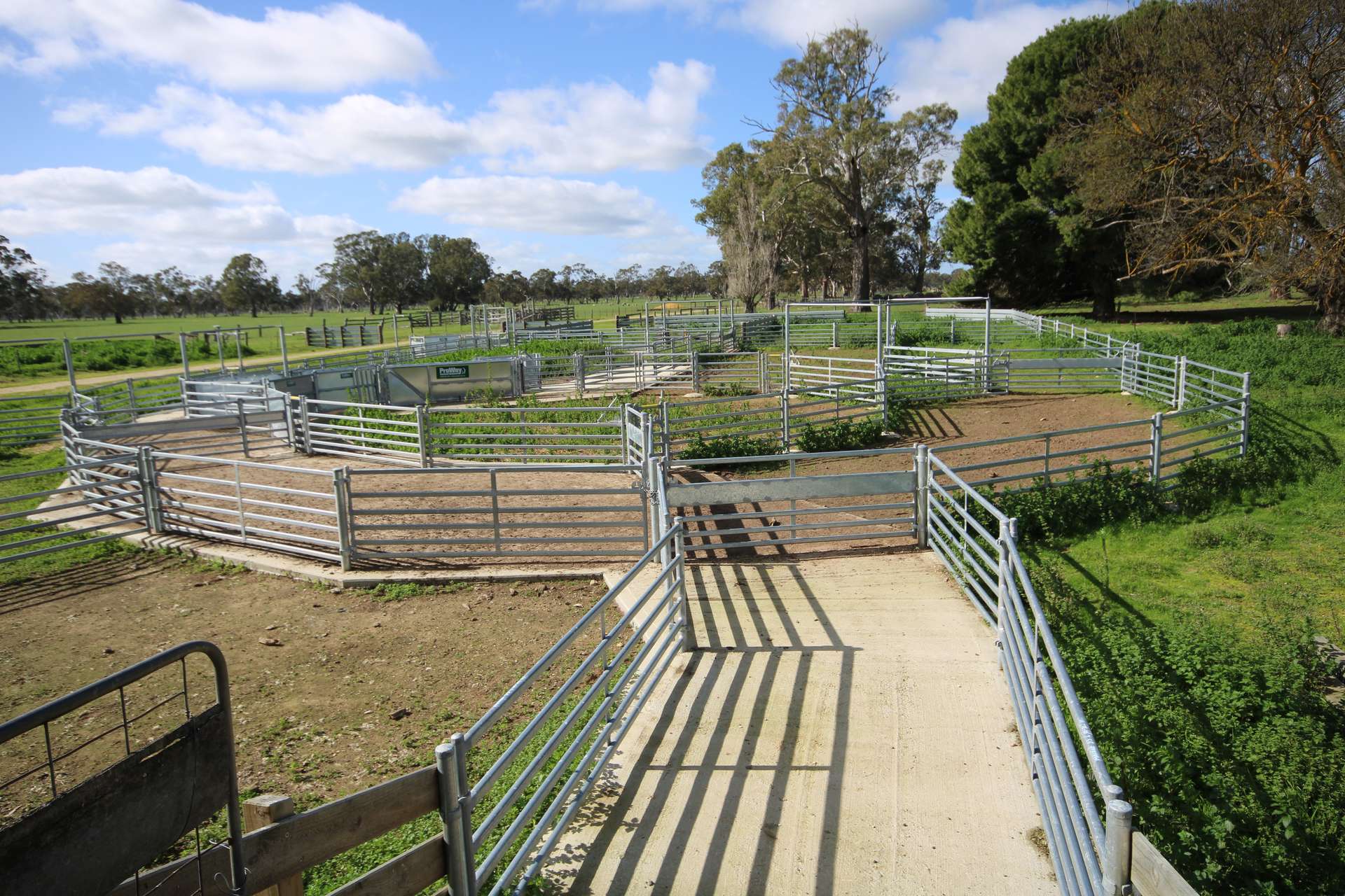 202 Malones Road, Naracoorte For Sale by Farmbuy.com - image 10