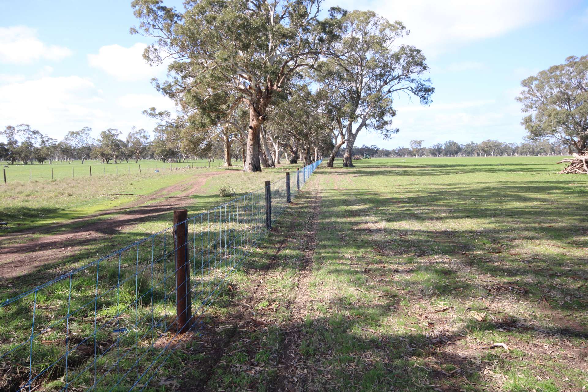 202 Malones Road, Naracoorte For Sale by Farmbuy.com - image 7