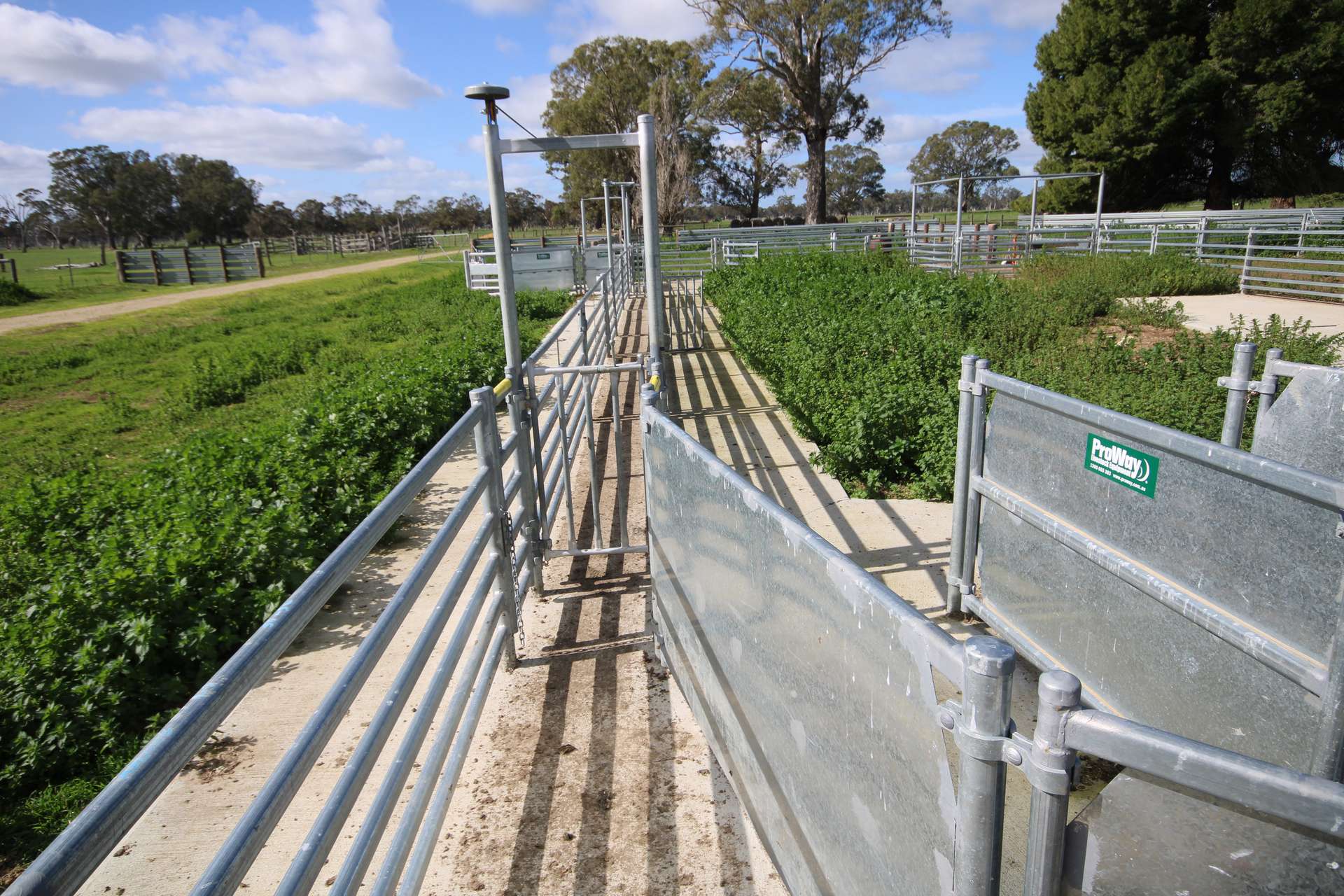 202 Malones Road, Naracoorte For Sale by Farmbuy.com - image 11