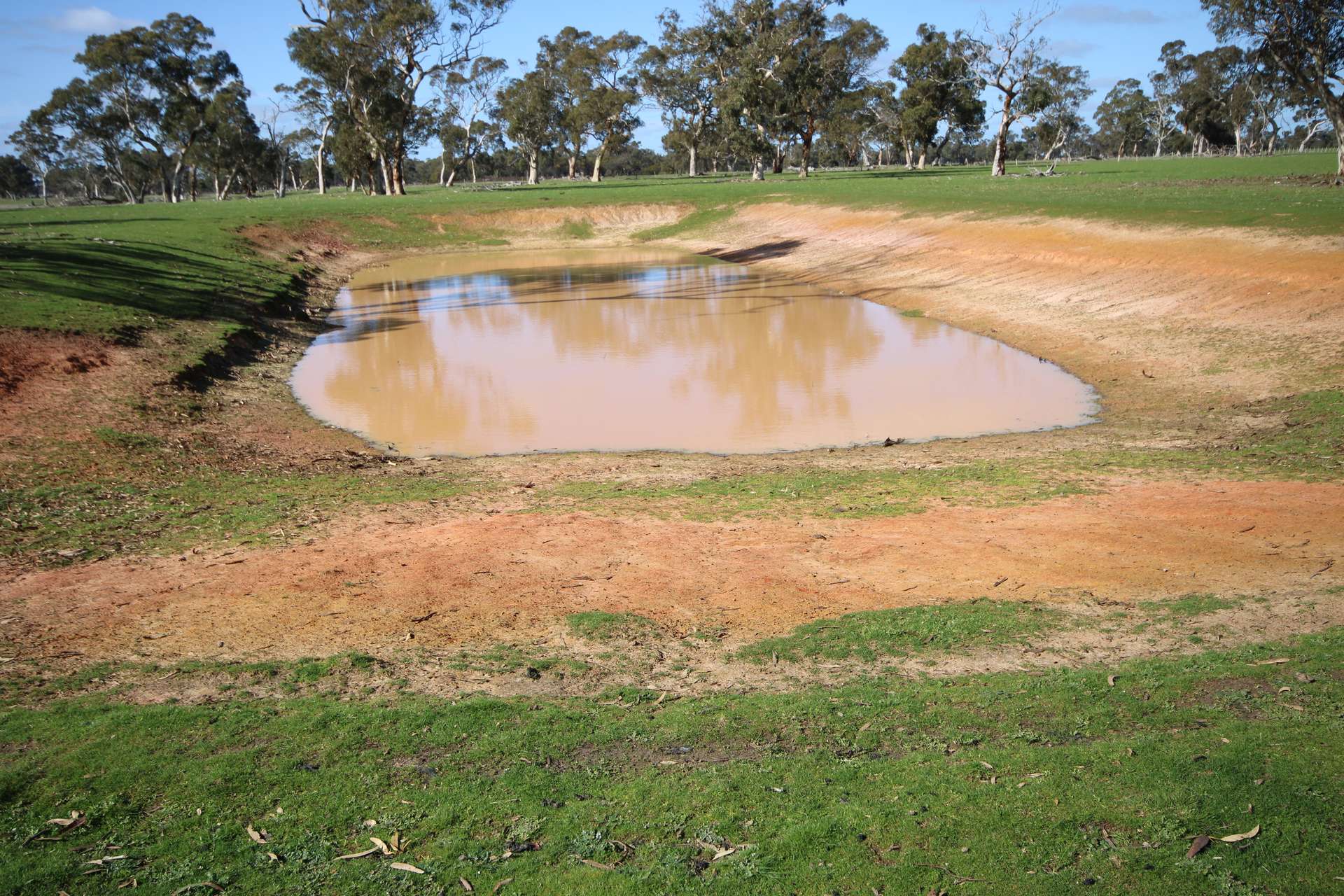 202 Malones Road, Naracoorte For Sale by Farmbuy.com - image 16