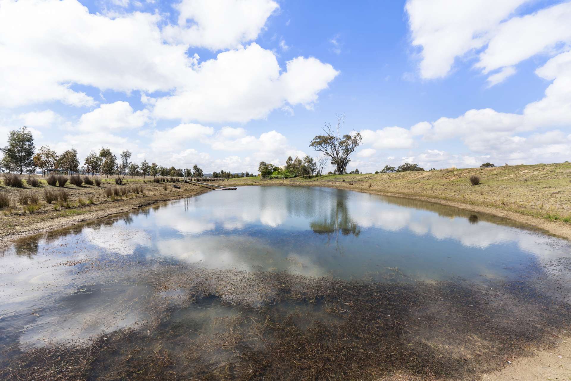 529 Tummaville Road, Pittsworth Sold by Farmbuy.com - image 8