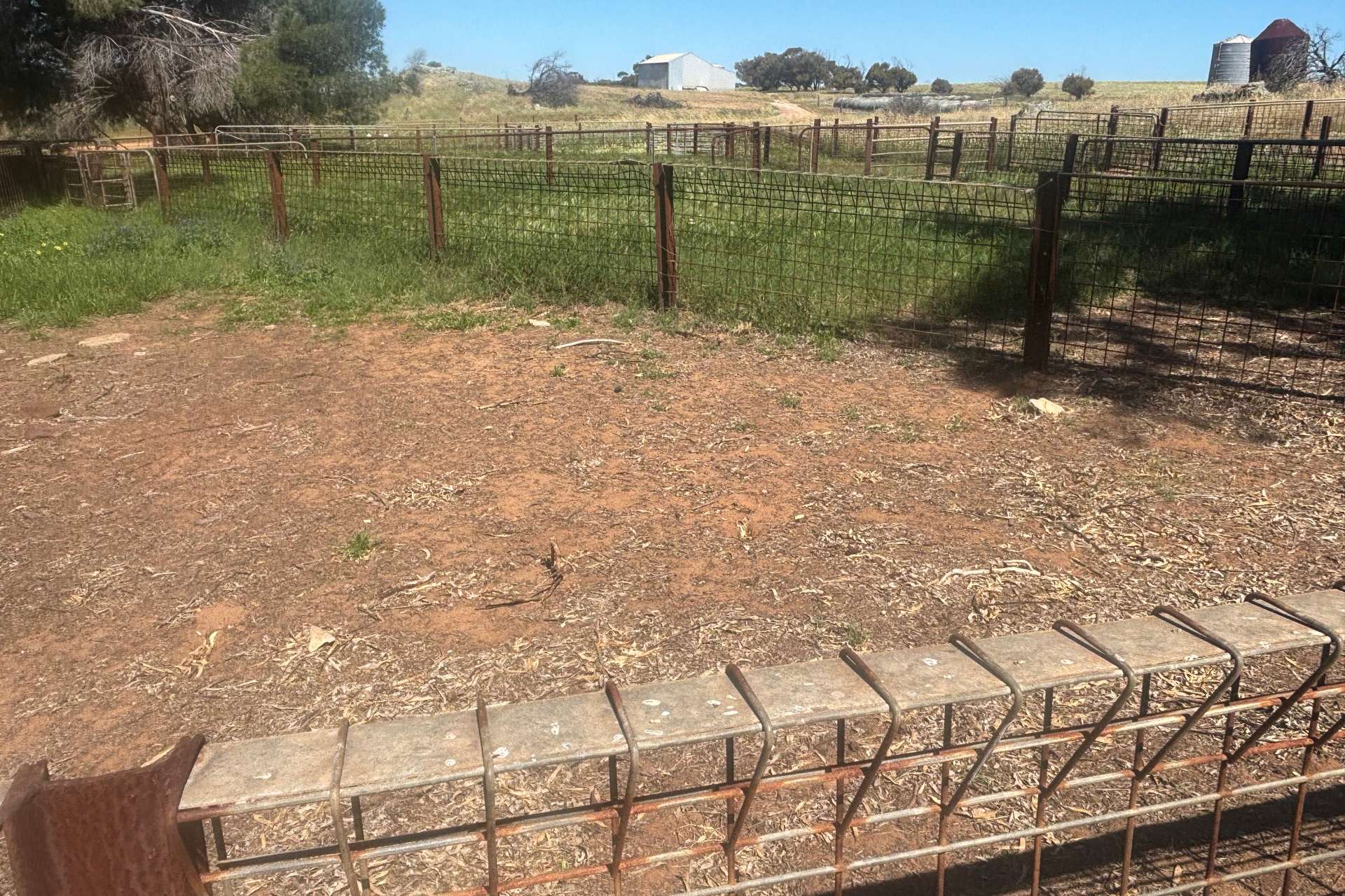 829 Nabawa Northampton Road, Hickety For Sale by Farmbuy.com - image 26