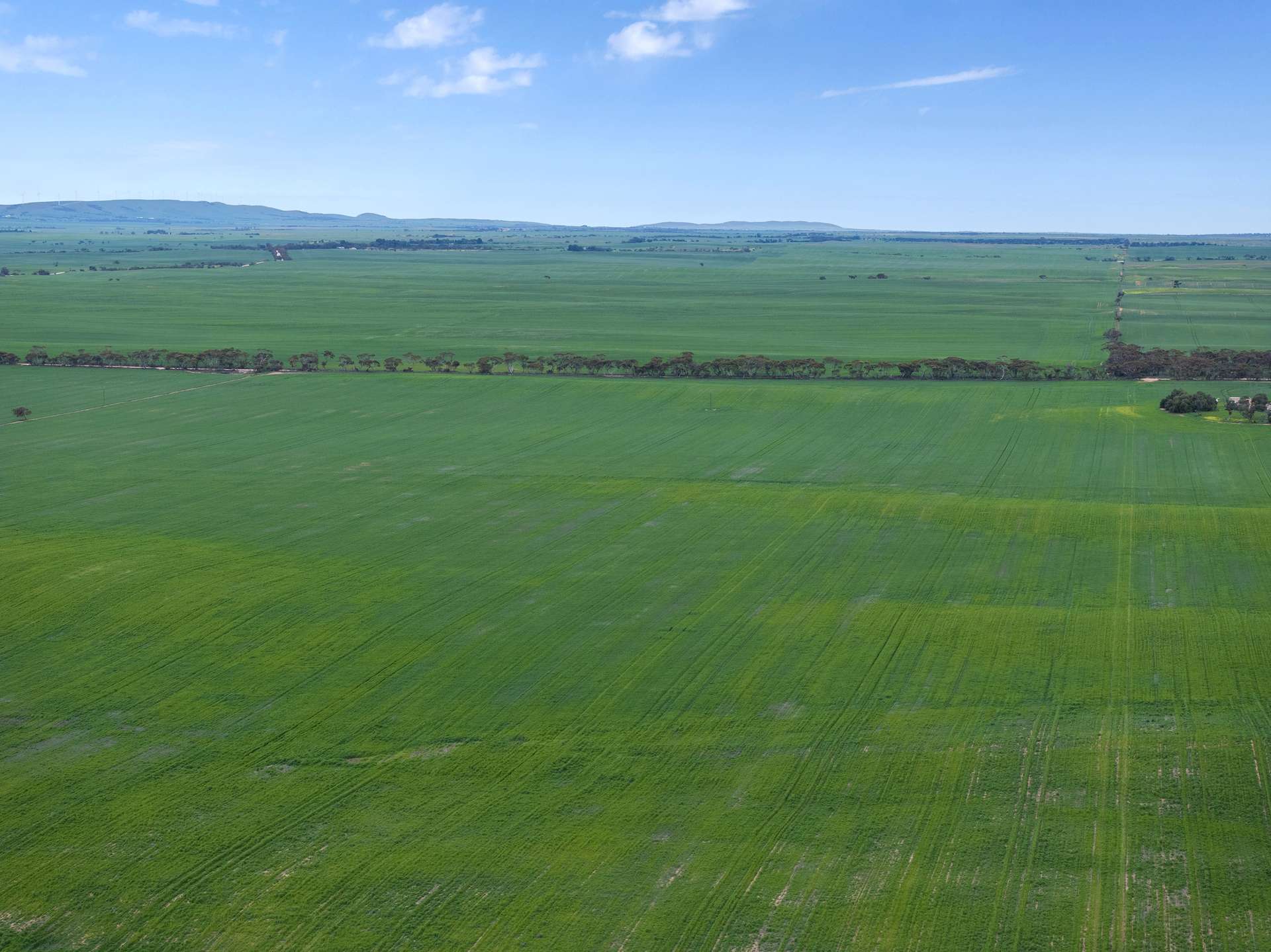 'Philby's' Garfield Road, Port Broughton Sold by Farmbuy.com - image 12