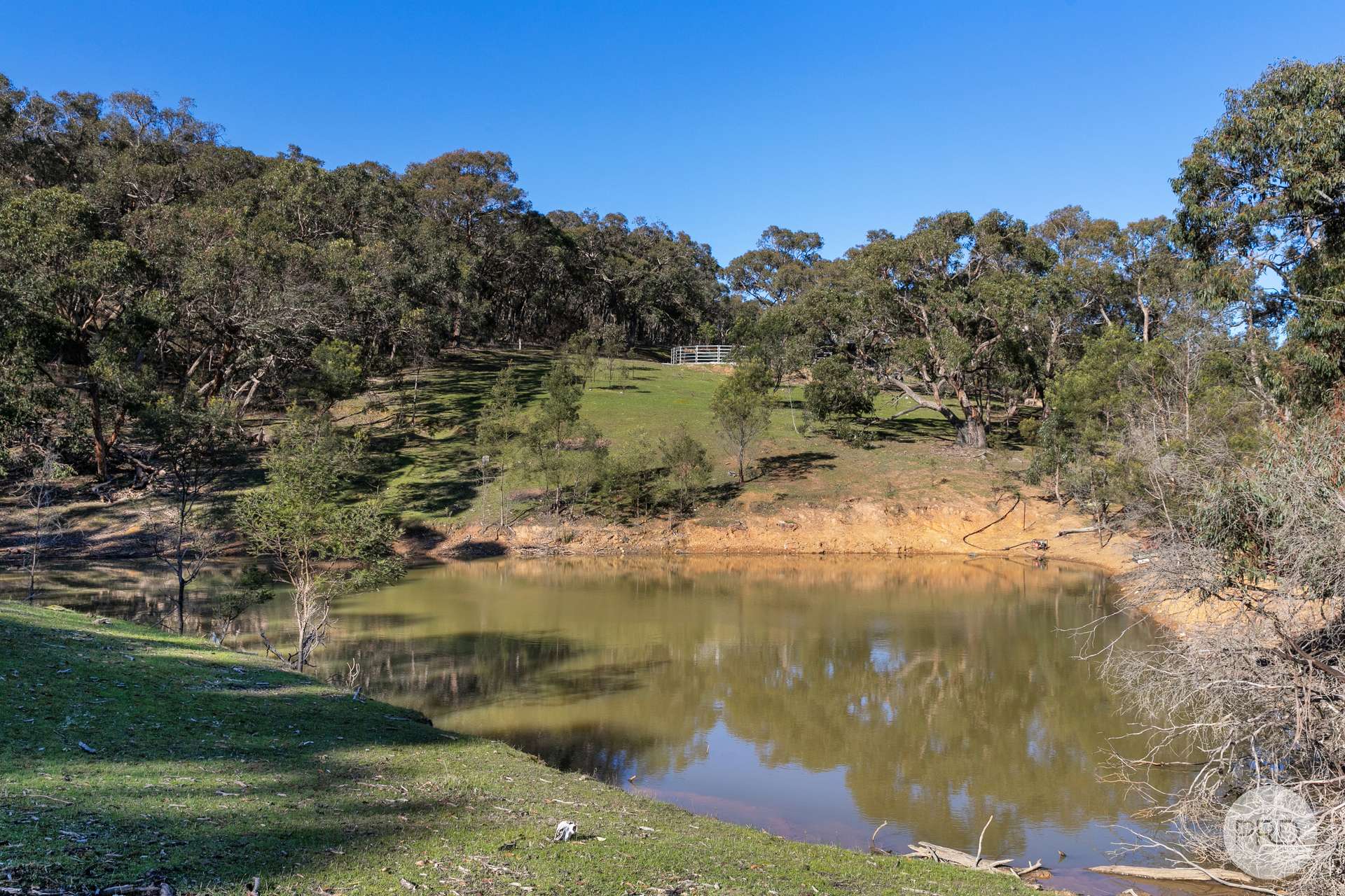 288 Flagstaff Ridge Road, Linton Sold by Farmbuy.com - image 14