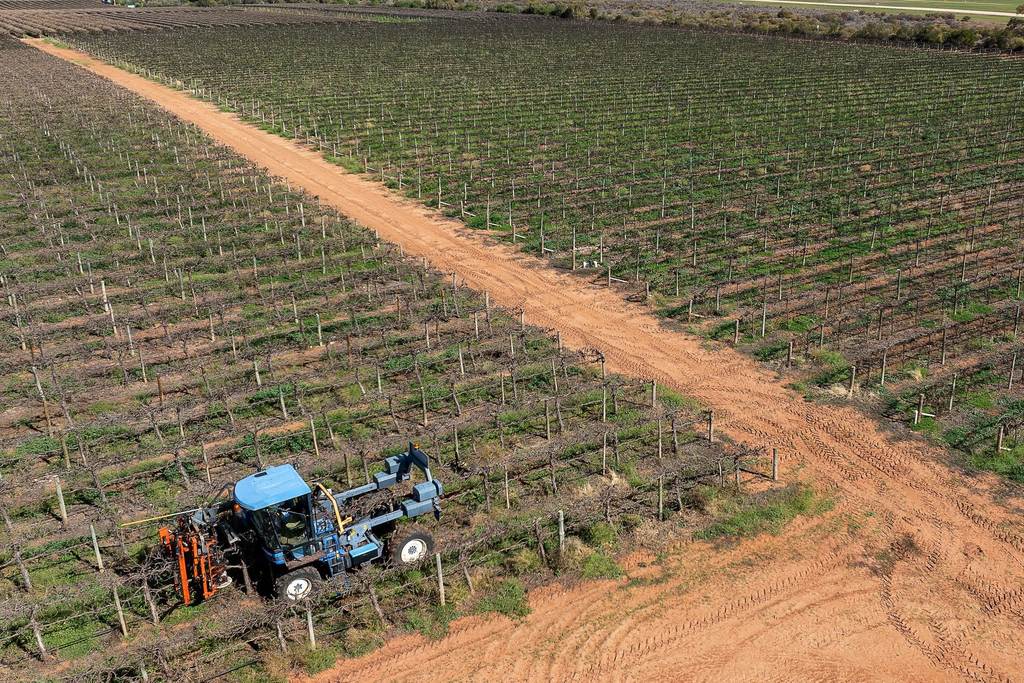 Various Locations Roads, Waikerie SA 5330