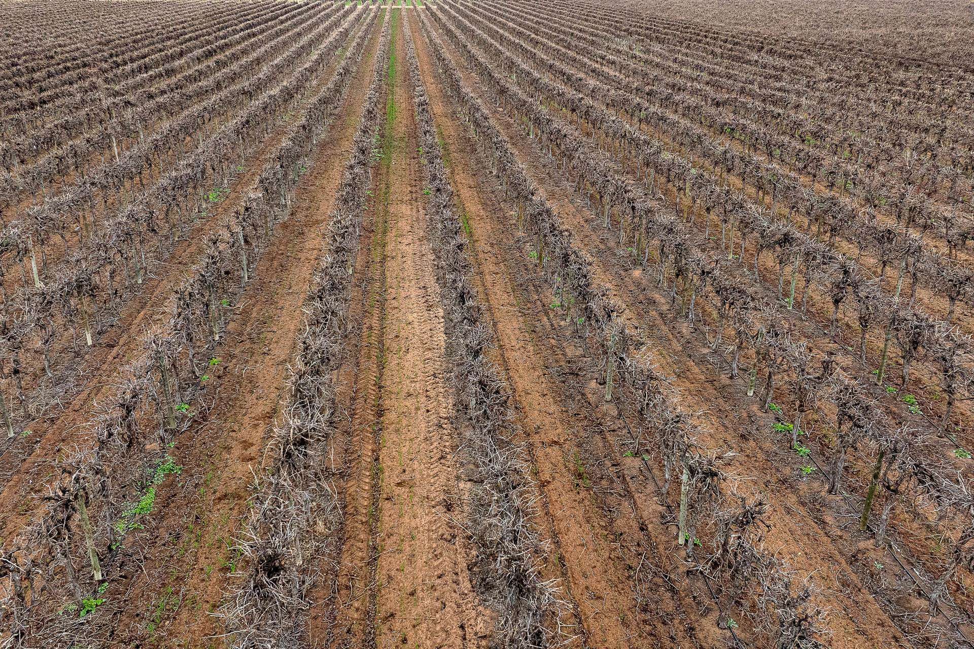 Various Locations Roads, Waikerie For Sale by Farmbuy.com - image 20