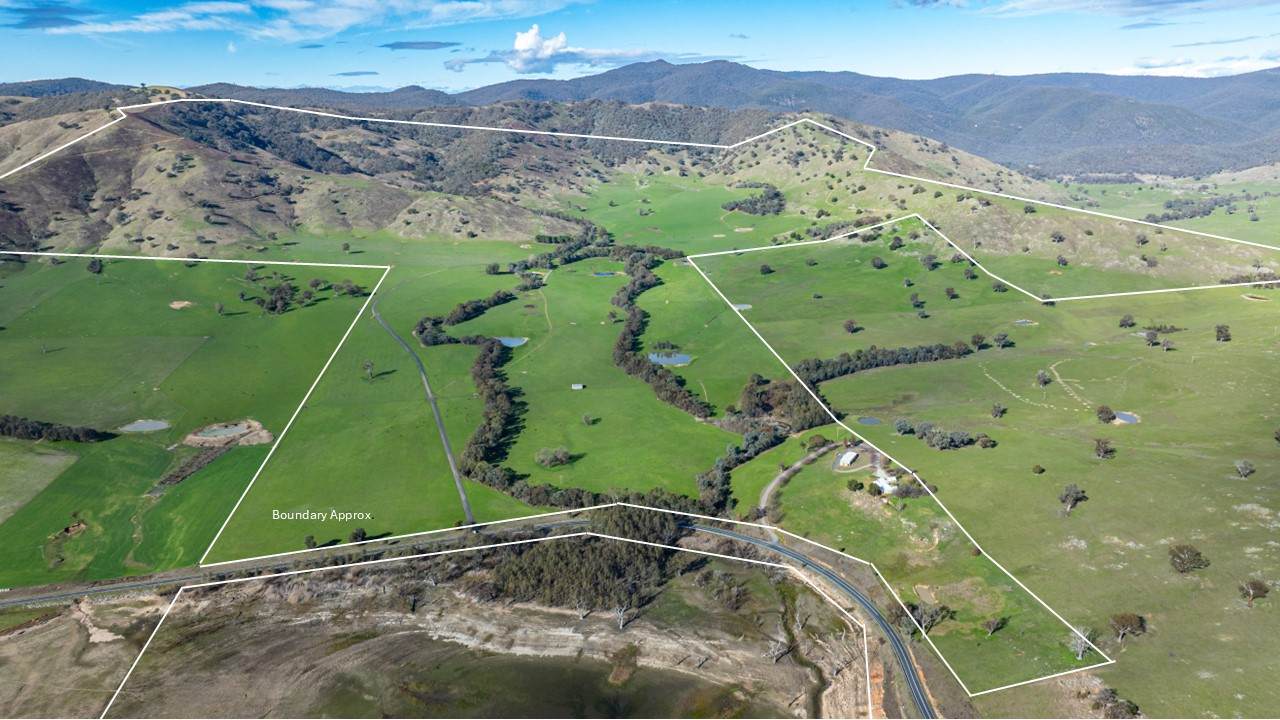 3972 Murray River Road, Bungil For Sale by Farmbuy.com - image 4