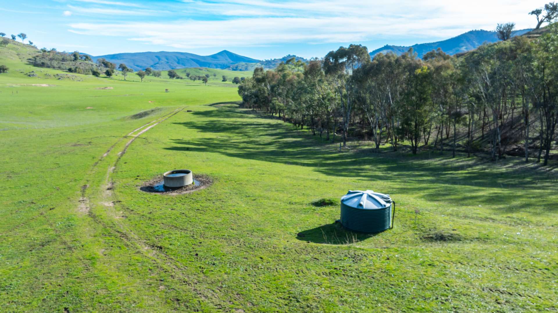 3972 Murray River Road, Bungil For Sale by Farmbuy.com - image 26