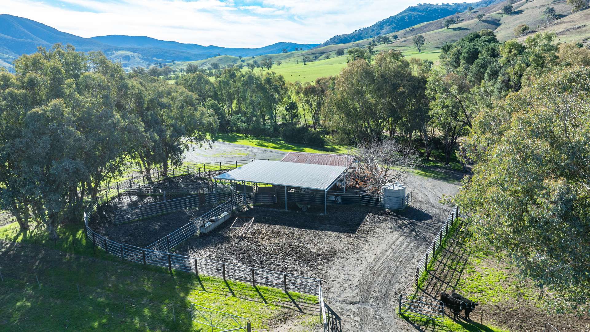 3972 Murray River Road, Bungil For Sale by Farmbuy.com - image 23