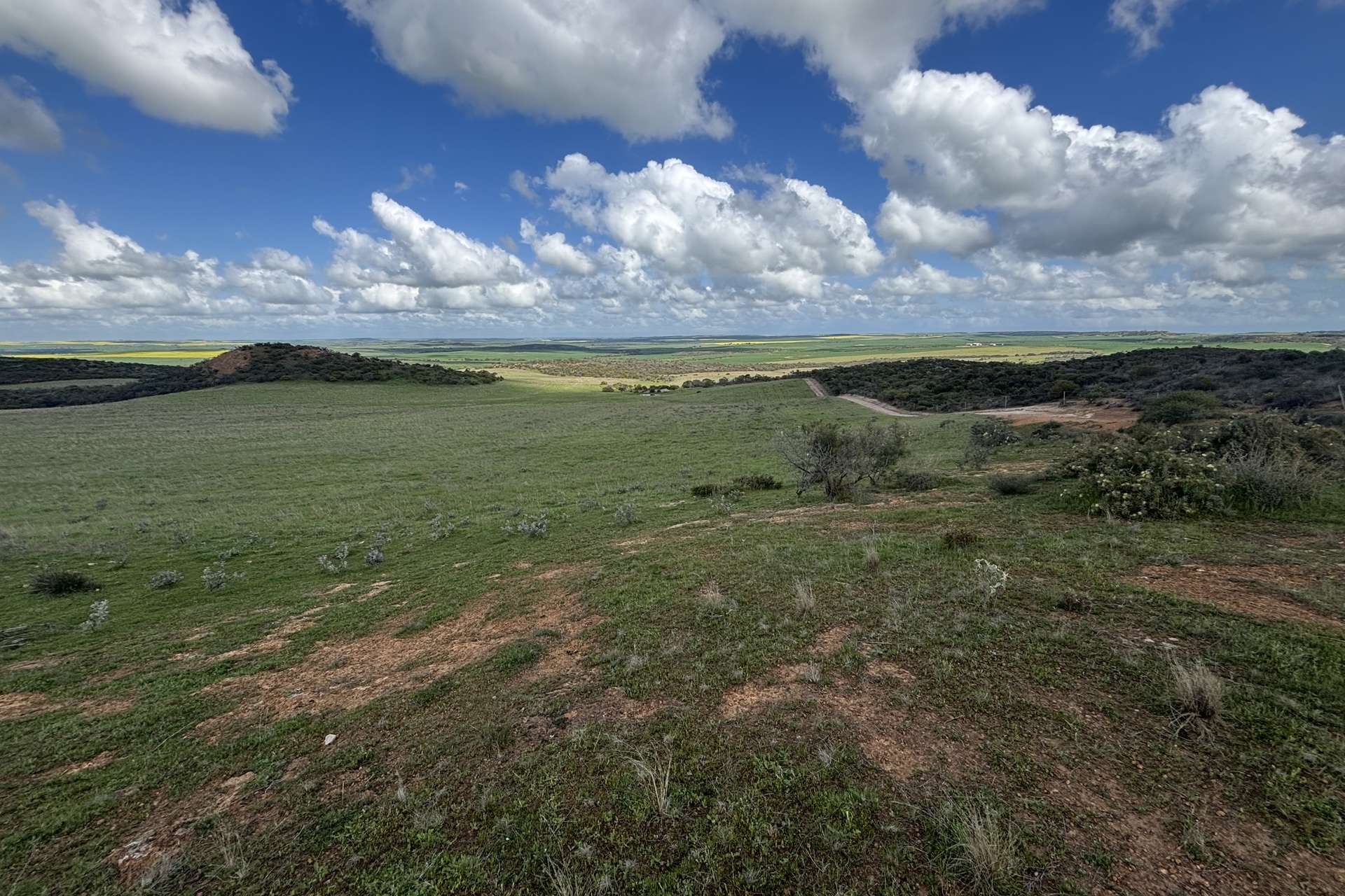 800 East Bowes Road, Naraling Sold by Farmbuy.com - image 4