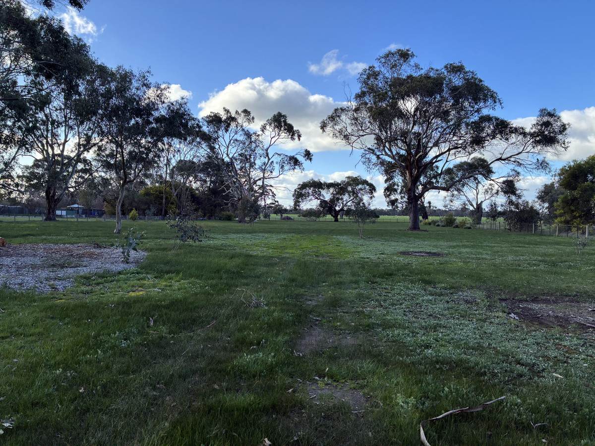 8024 Hamilton Highway, Tarrington For Sale by Farmbuy.com - image 7