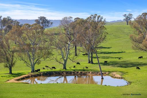 2222 Goulburn Valley Highway, Alexandra VIC 3714