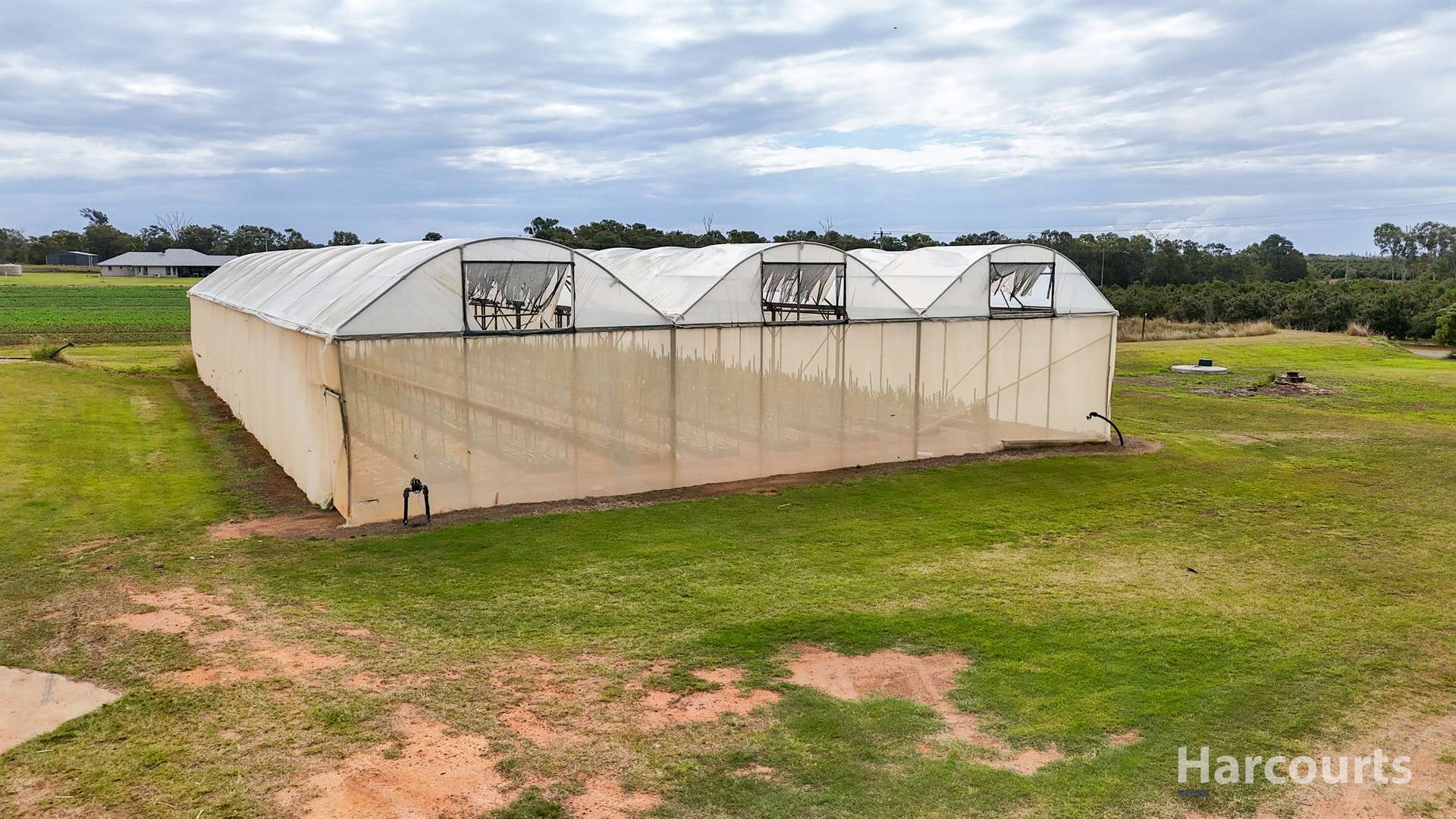 106 Sheehans Road, Calavos For Sale by Farmbuy.com - image 8