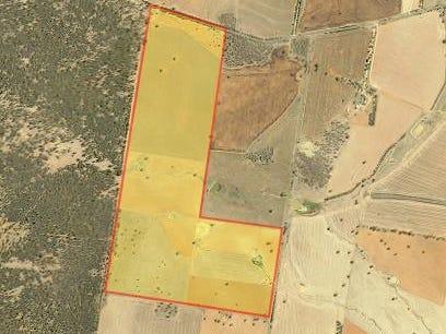 893 Deaths Lane, Pullabooka For Sale by Farmbuy.com - image 15