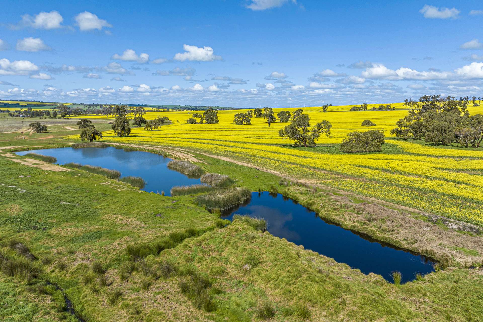 3903 Dandaragan Road, Dandaragan Sold by Farmbuy.com - image 2