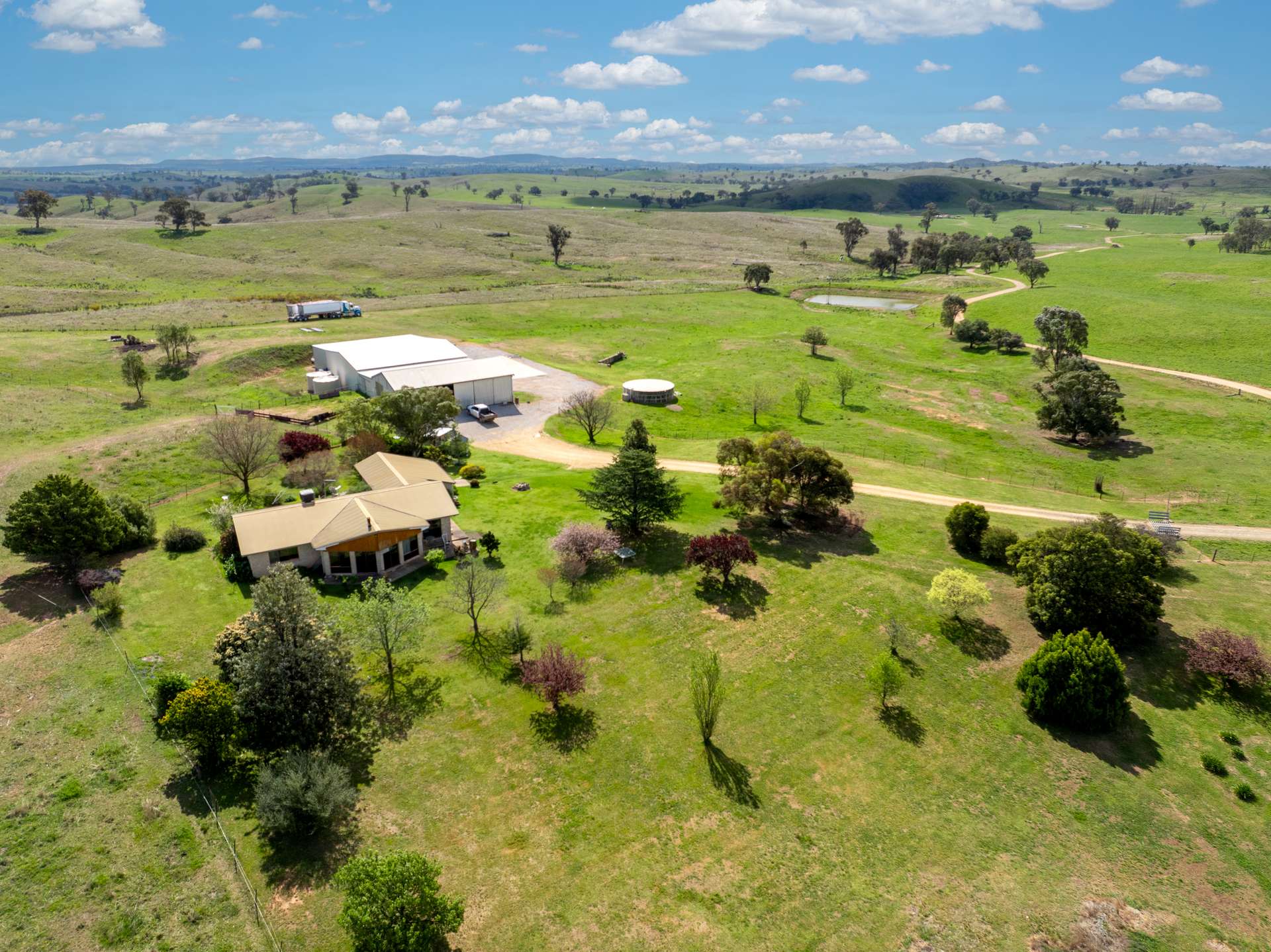 'Cronga Peak' 157 Cronga Peak Road, Molong For Sale by Farmbuy.com - image 6