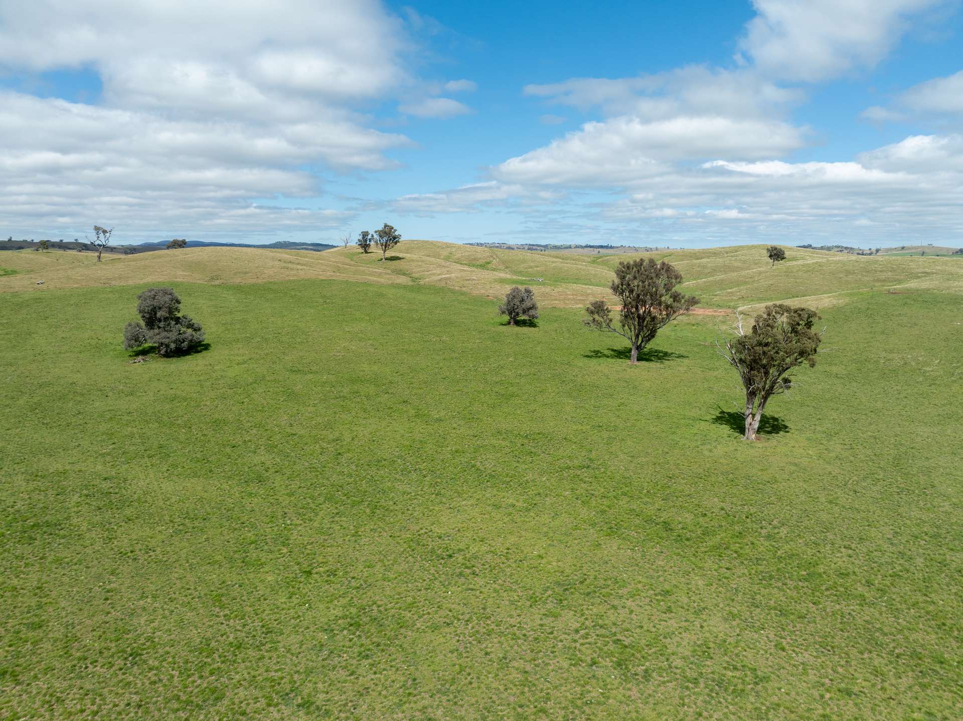 'Cronga Peak' 157 Cronga Peak Road, Molong For Sale by Farmbuy.com - image 21