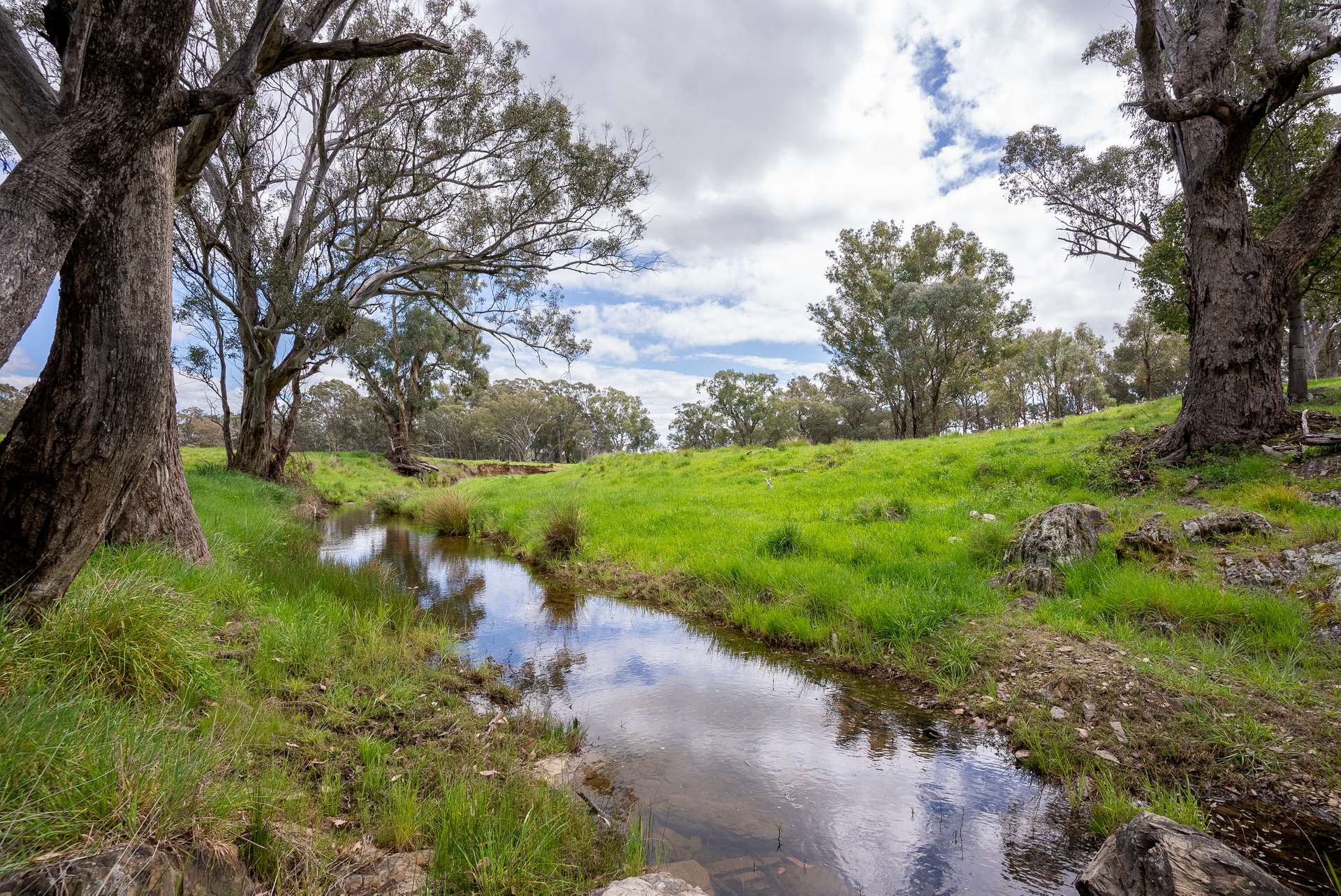 'Cronga Peak' 157 Cronga Peak Road, Molong For Sale by Farmbuy.com - image 11