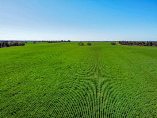Farm Sold - VIC - Annuello - 3549 - Absolute Prime Mallee 