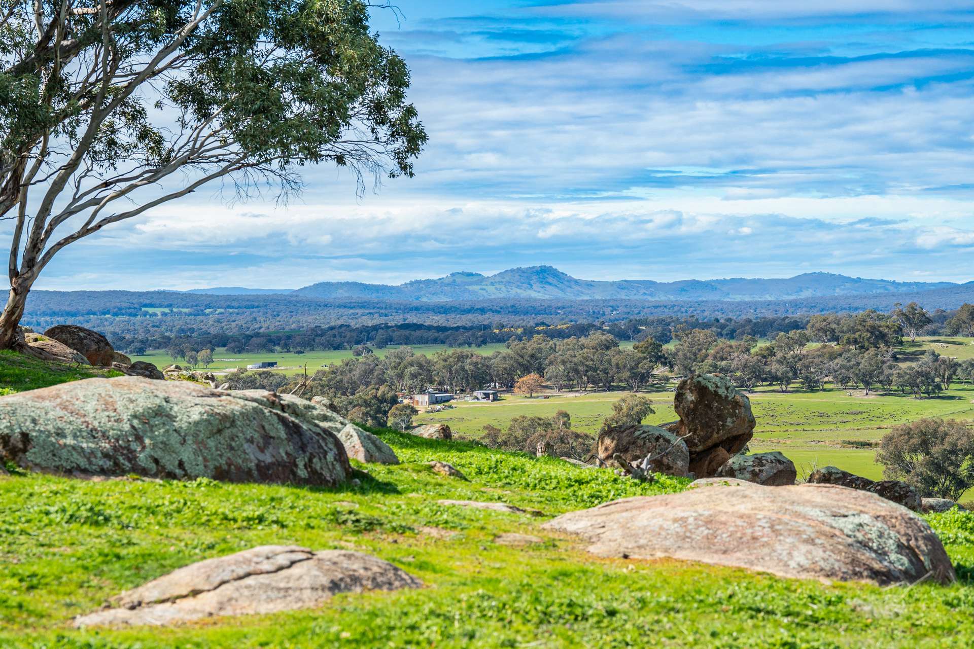 Rocky Creek Road, Springhurst For Sale by Farmbuy.com - image 3