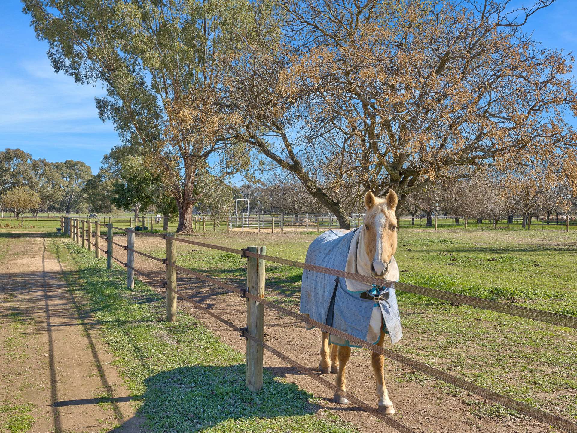 364 Goomalibee Road, Benalla For Sale by Farmbuy.com - image 22