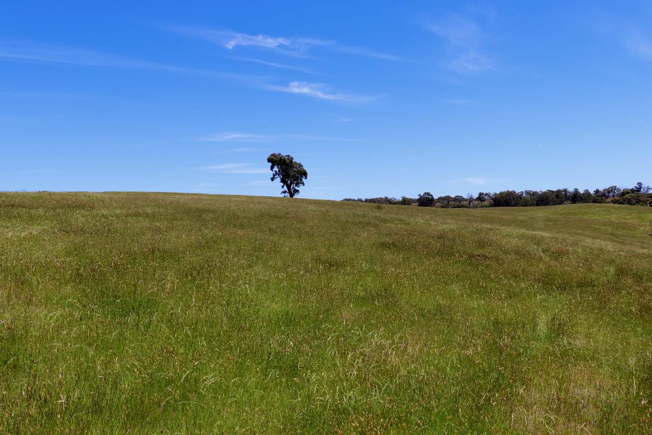 Lot 13, 13A, 13B, 31A &, 31C BRIDGE ROAD, Grenville For Sale by Farmbuy.com - image 7