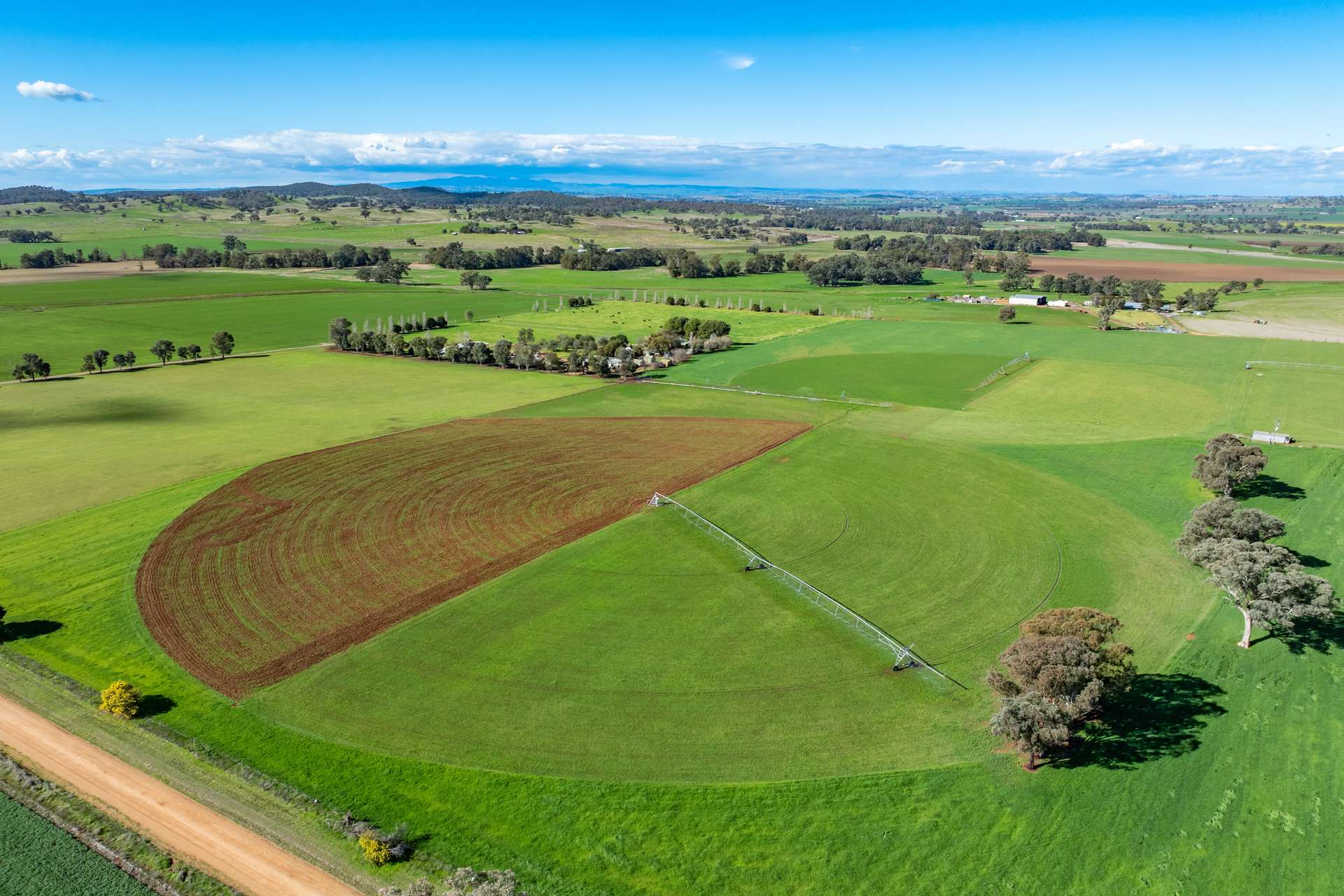 164 Settlement Bridge Road, Canowindra Sold by Farmbuy.com - image 2